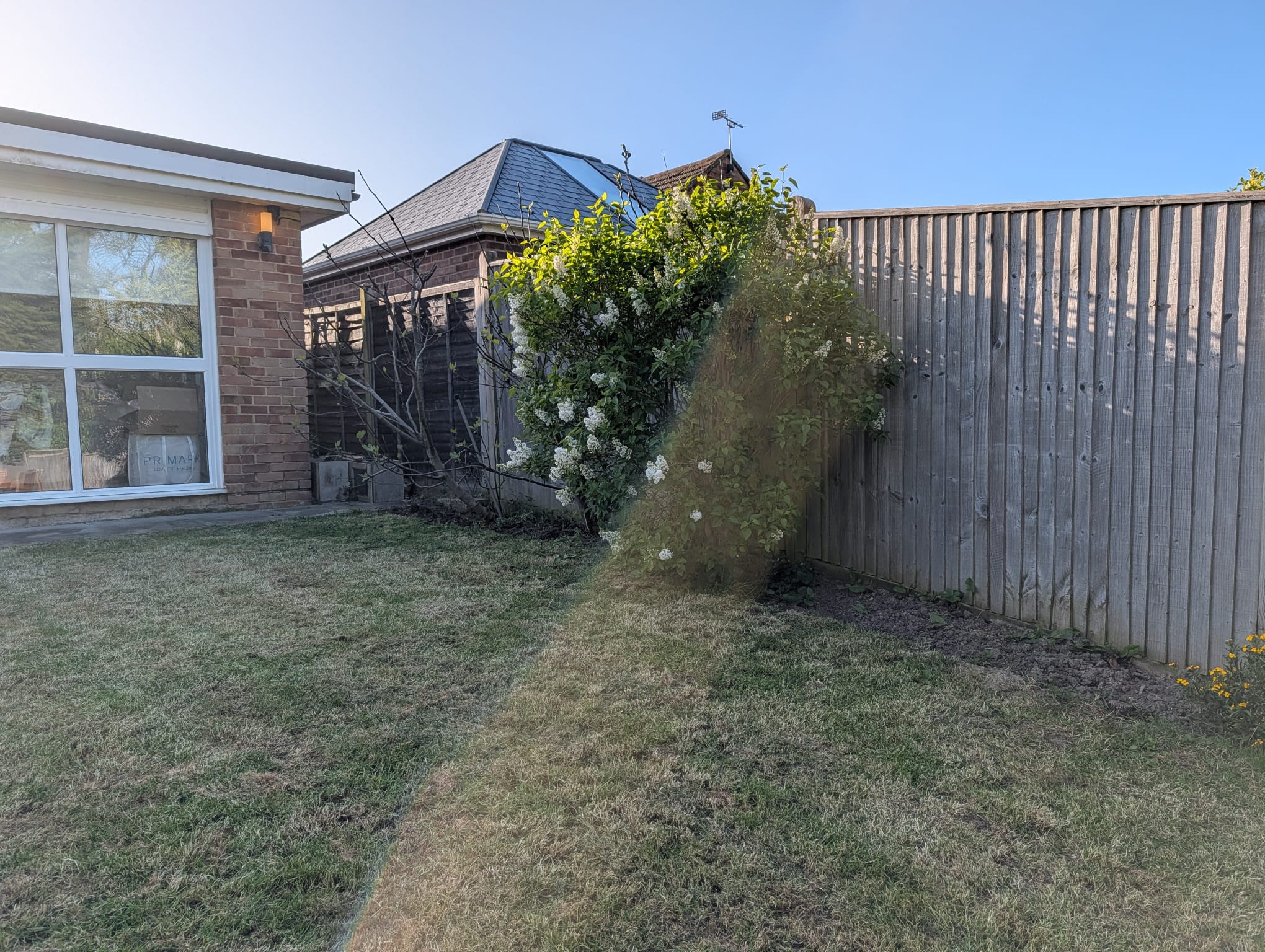 image-15