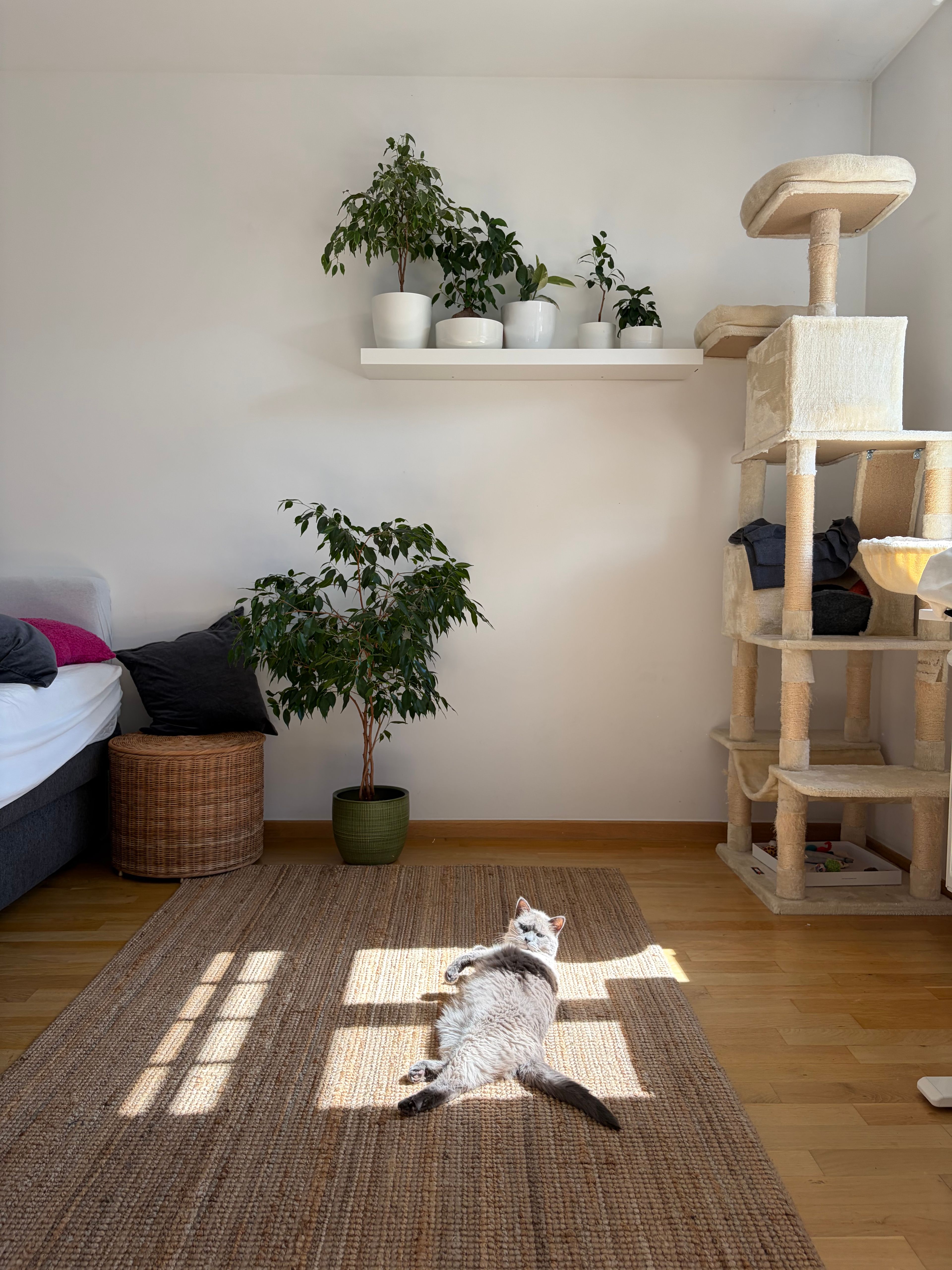 image-11