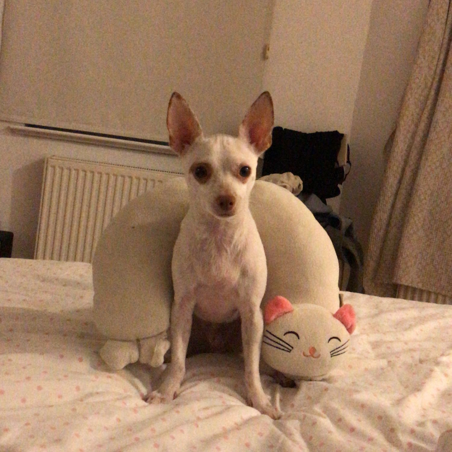Eros