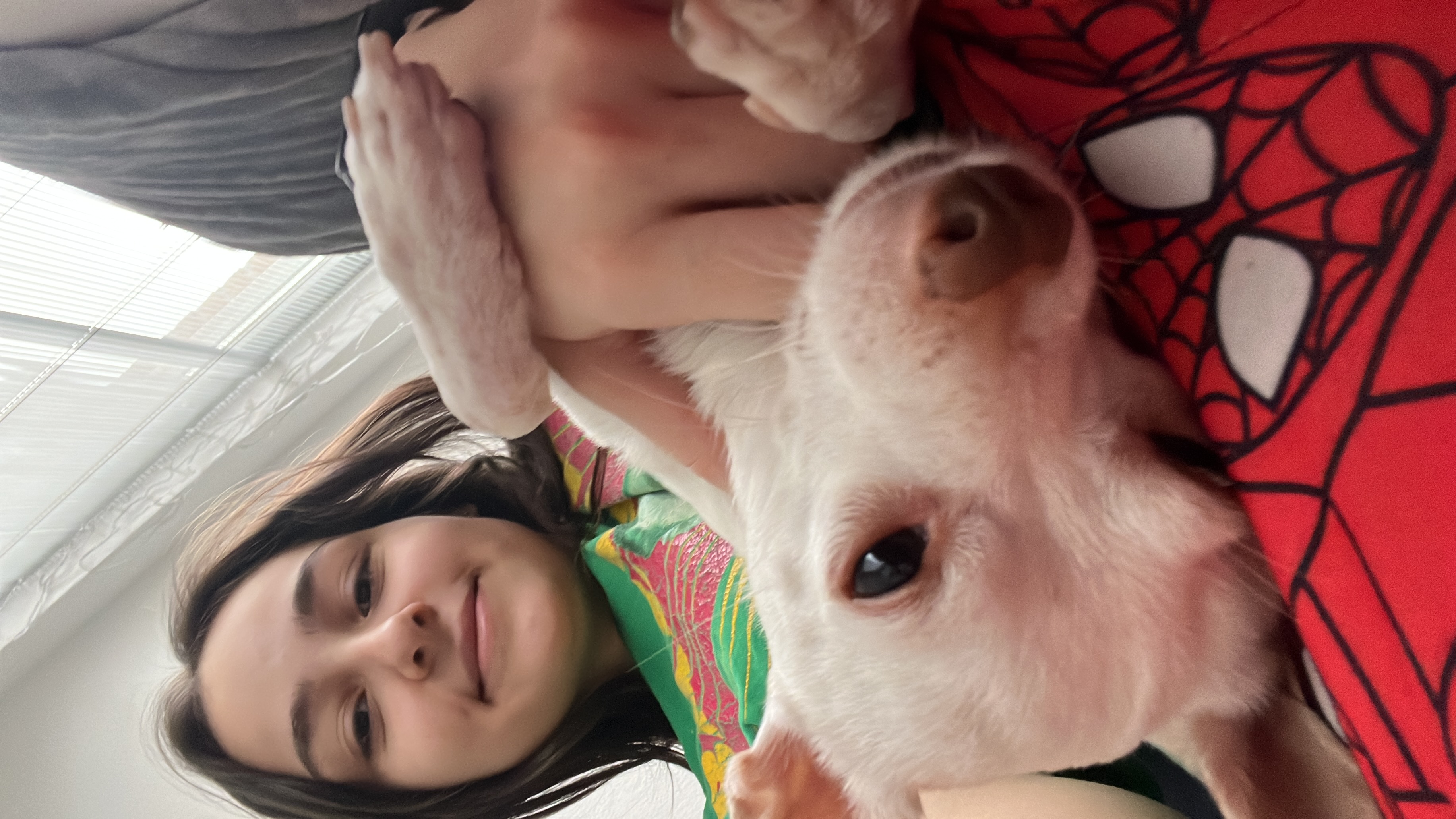 image-6