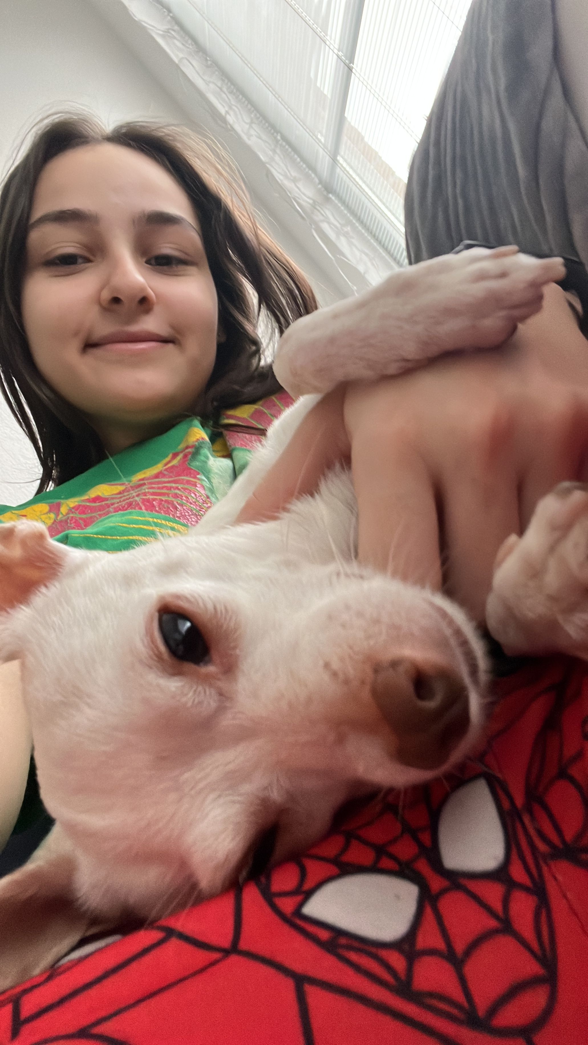 image-6