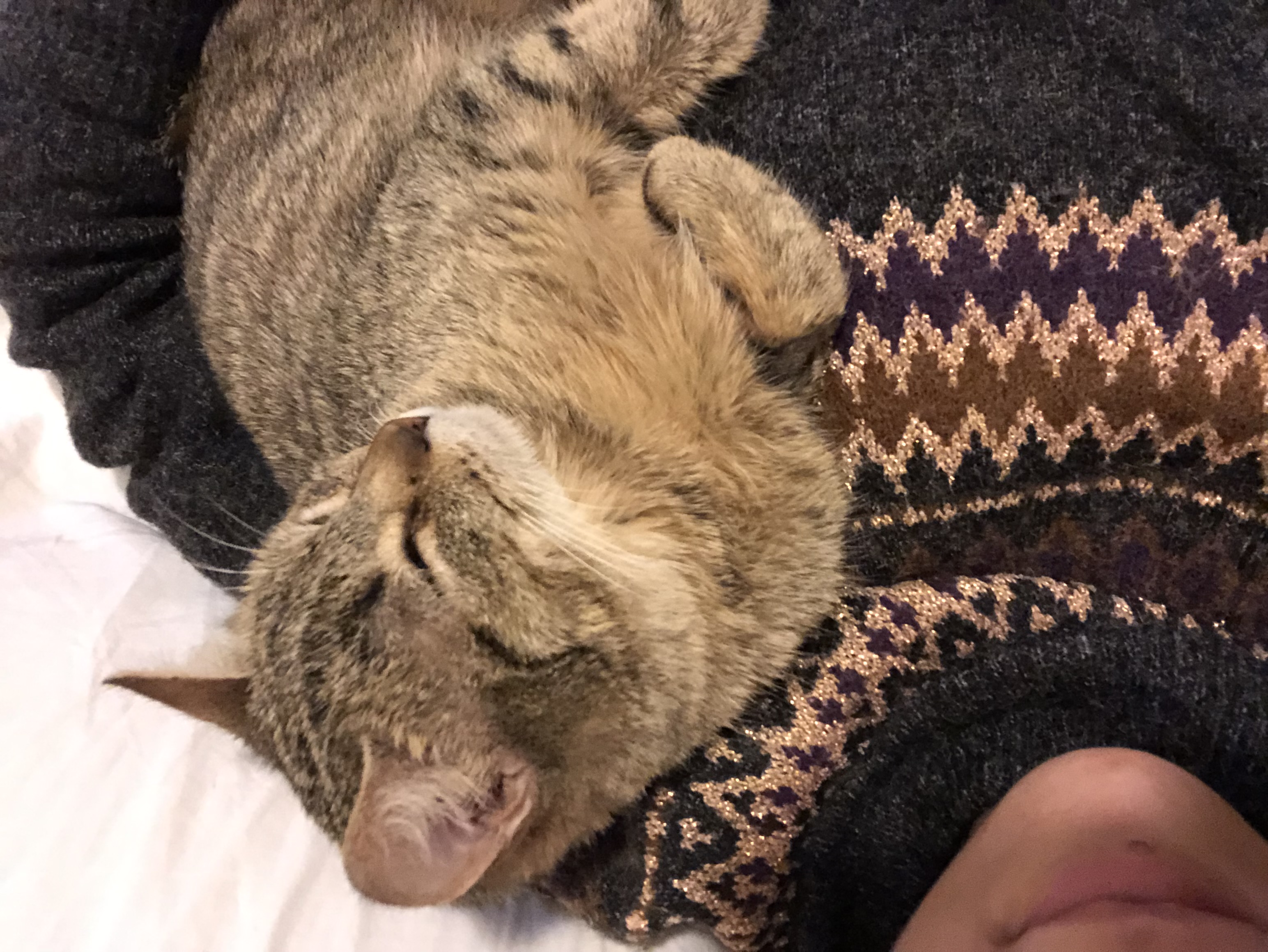 image-8