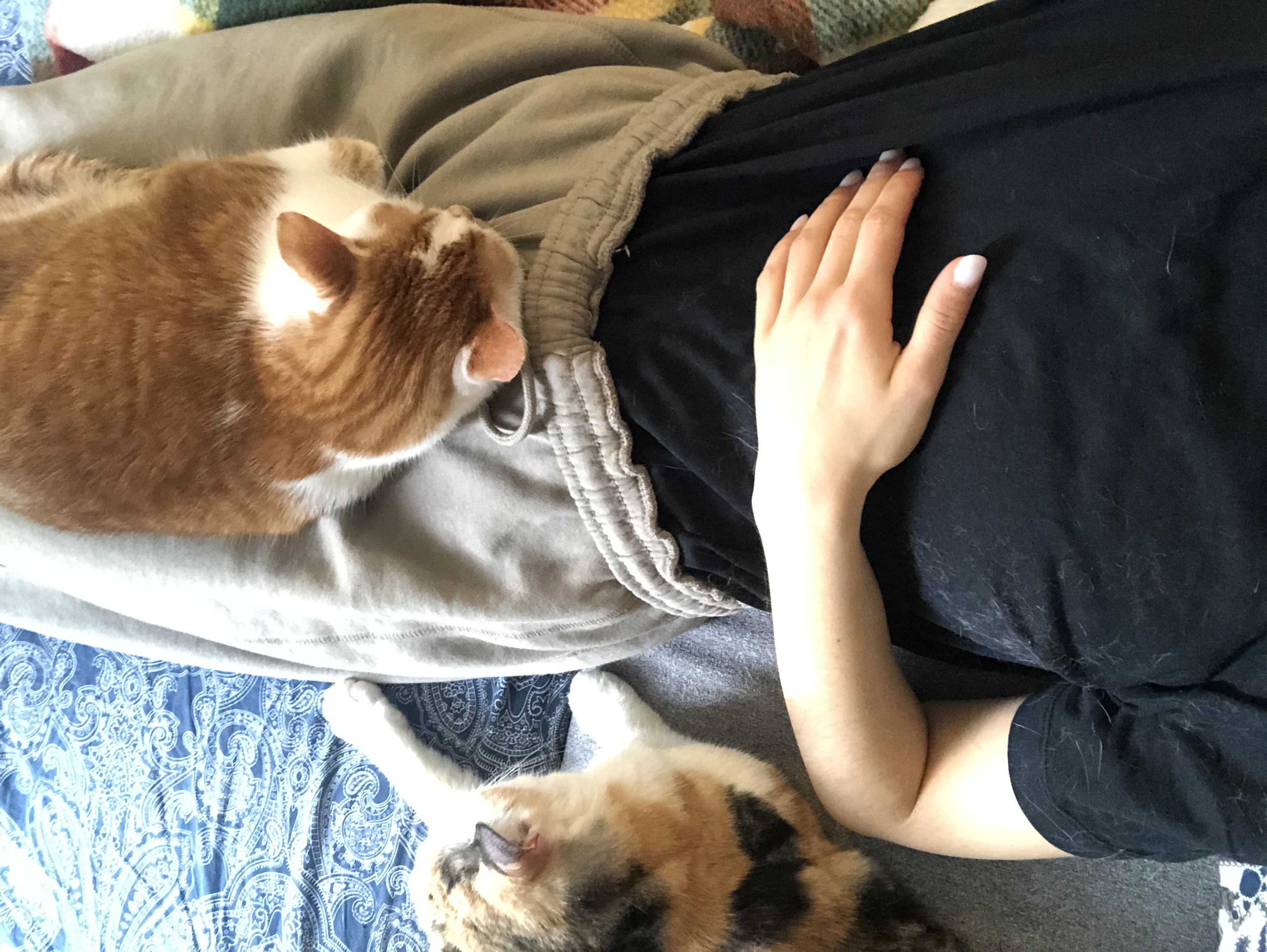image-7