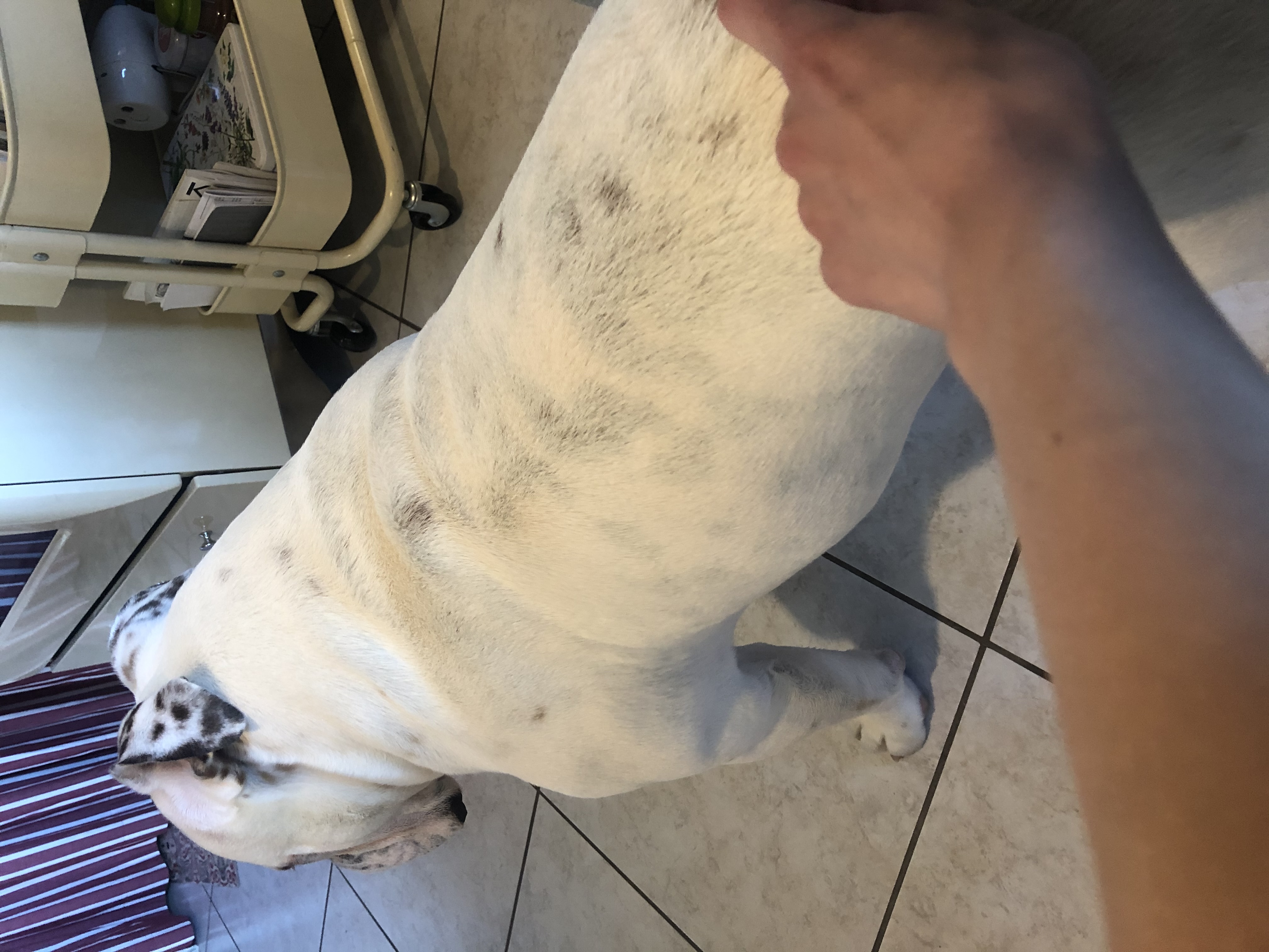image-11