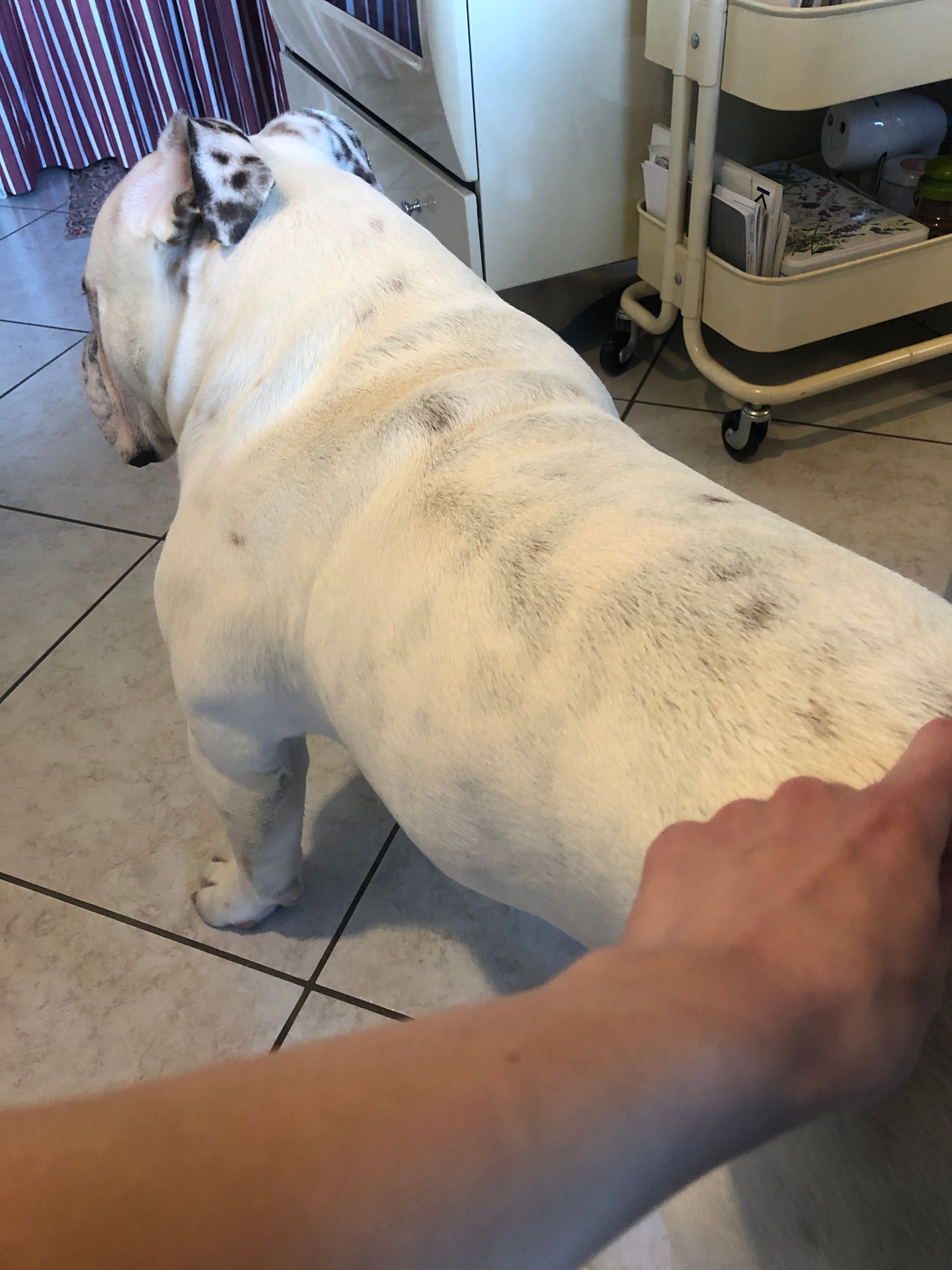 image-11