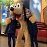 Liesbeth