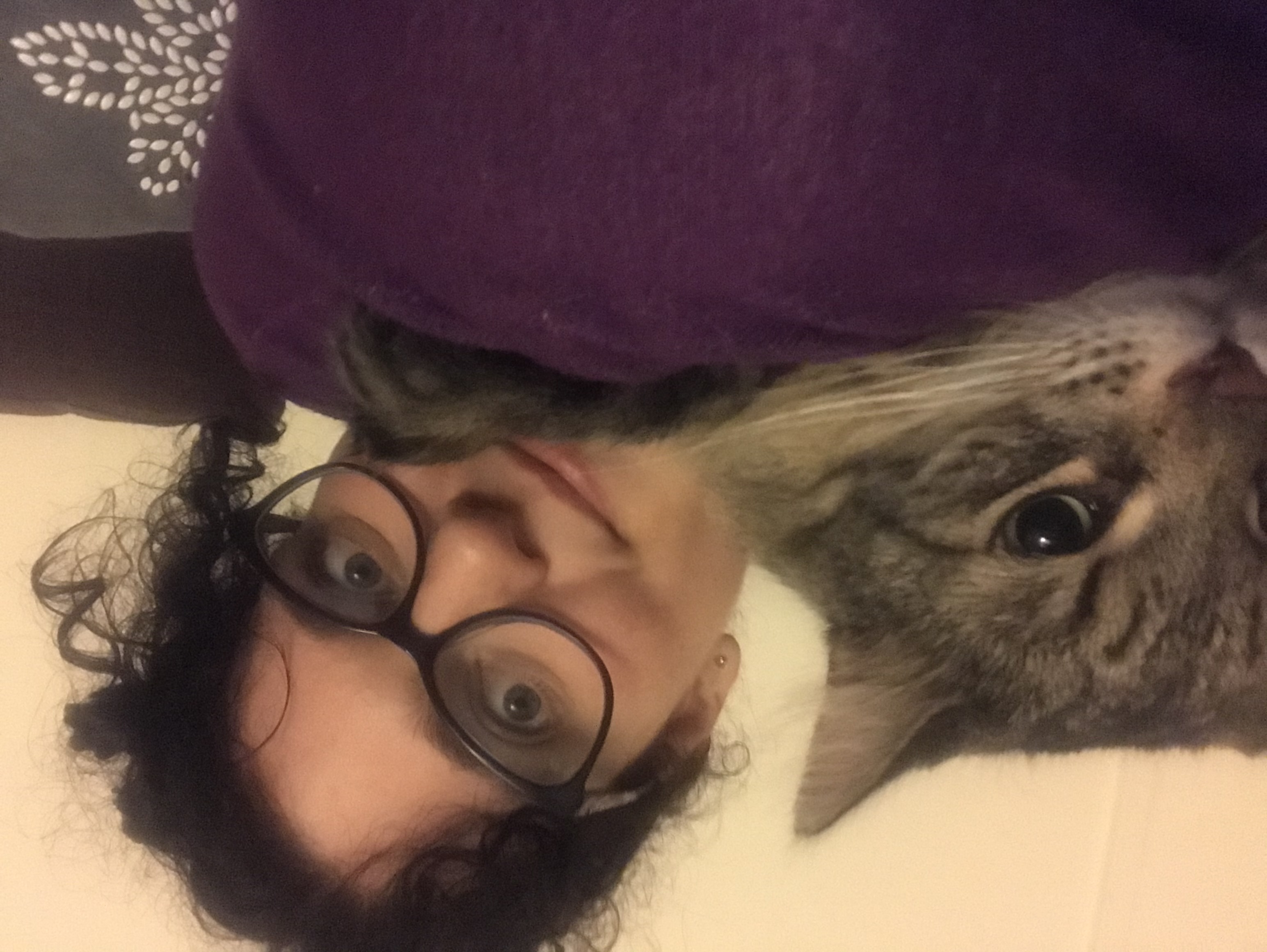 image-8