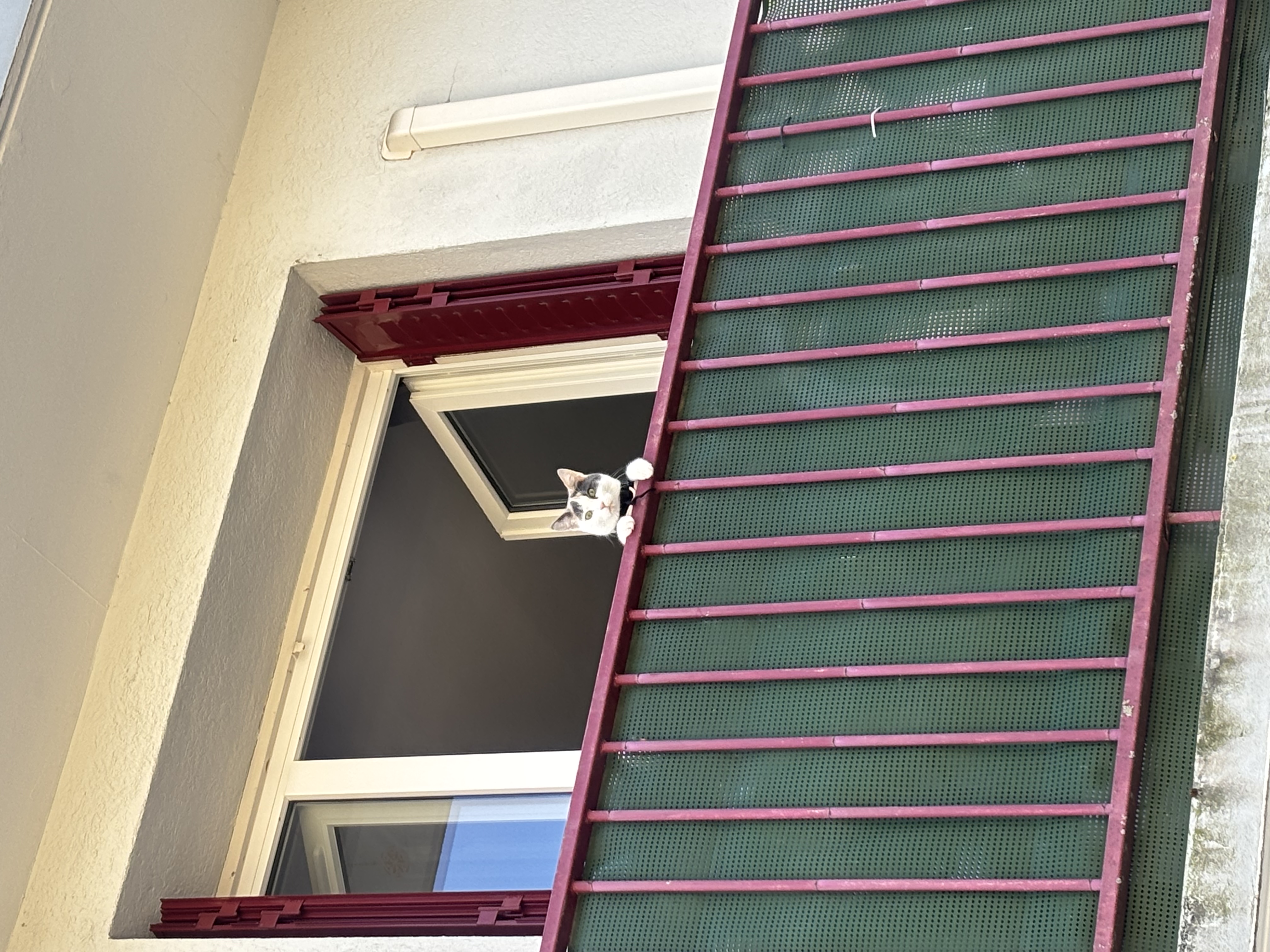 image-10