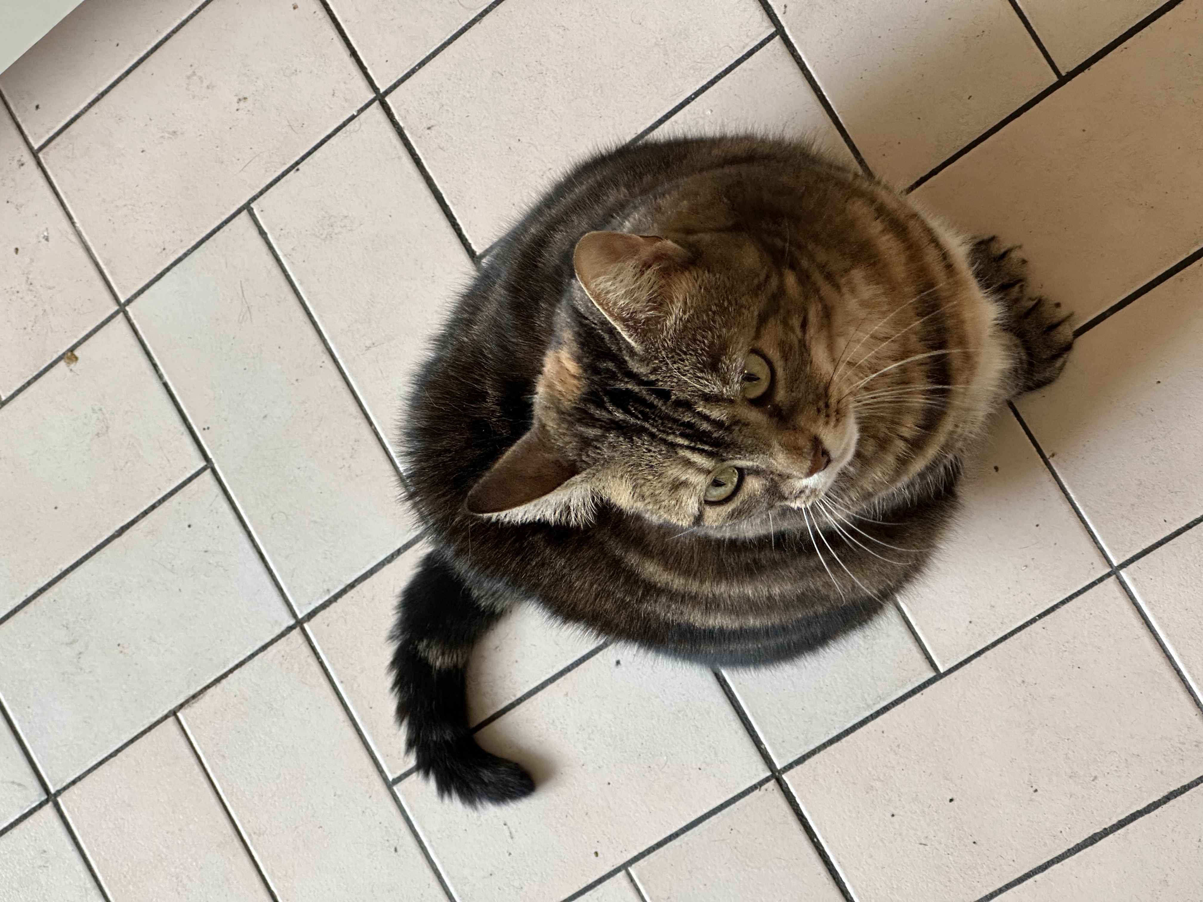 image-9