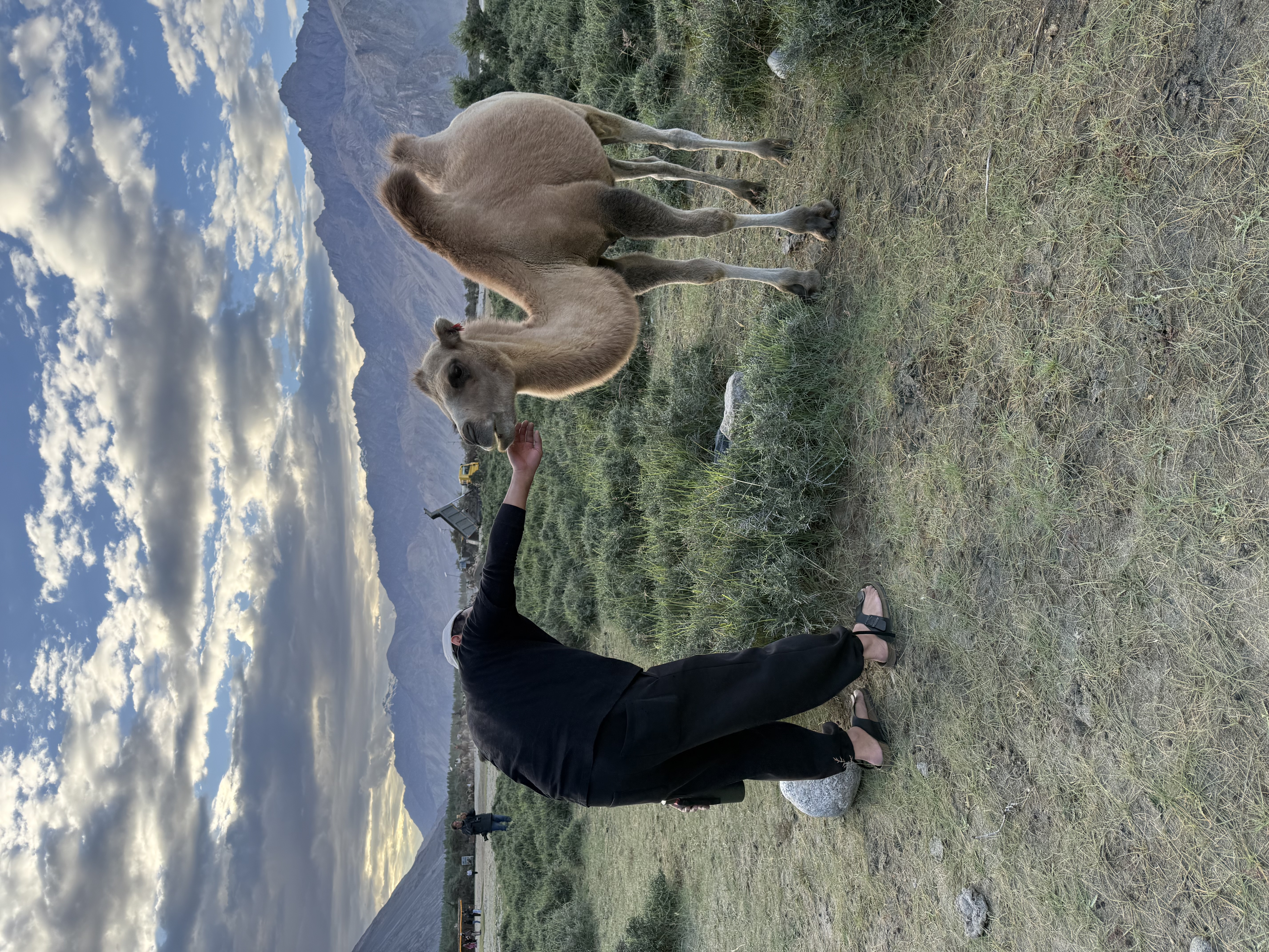 image-8