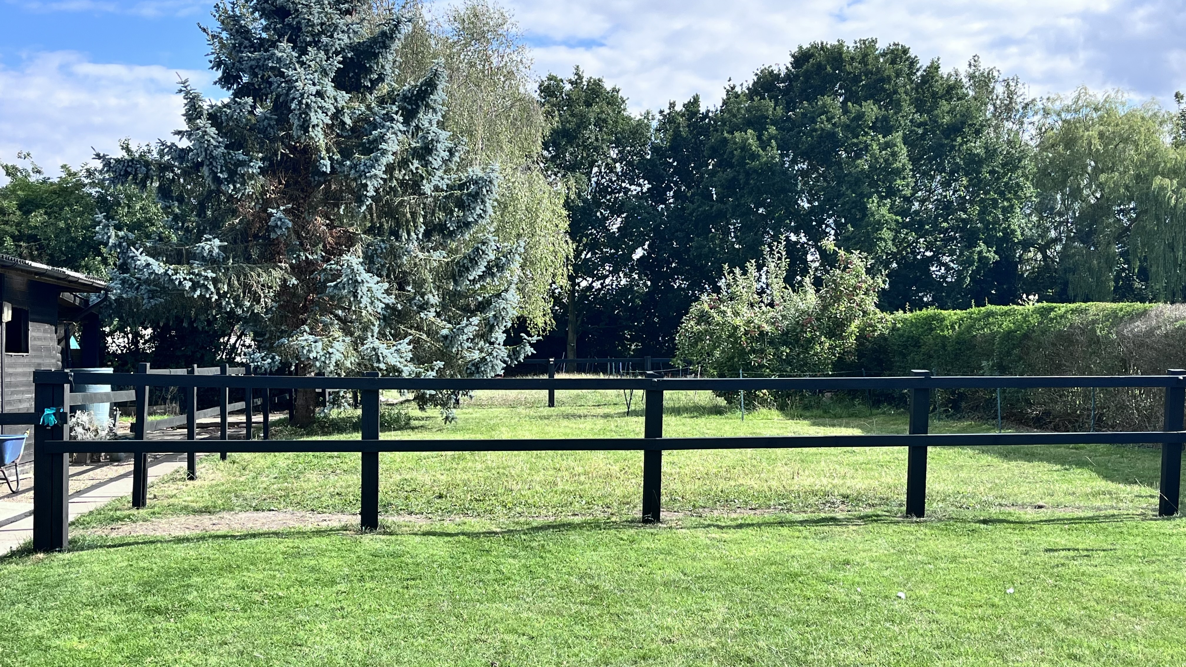image-18