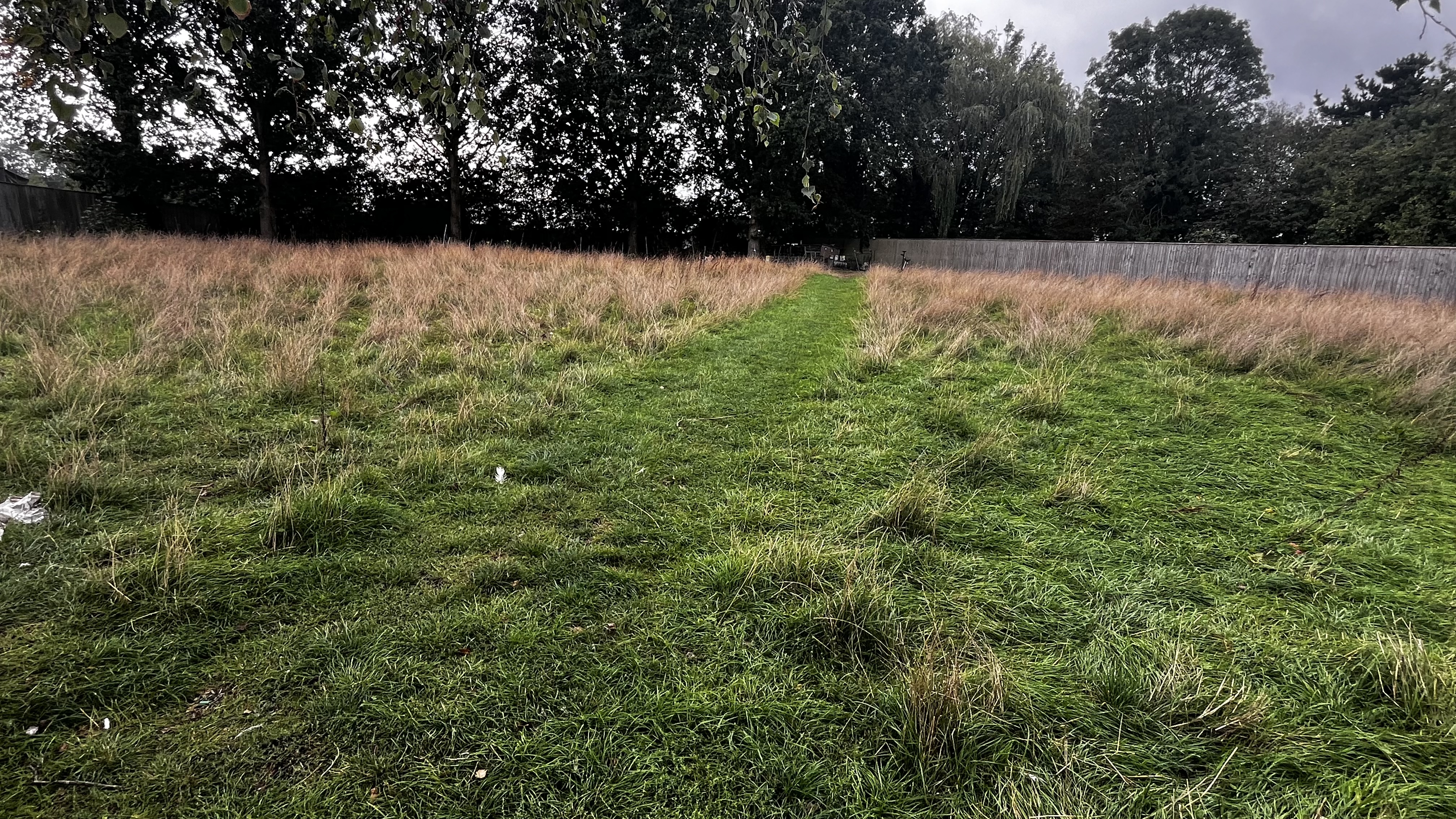 image-26