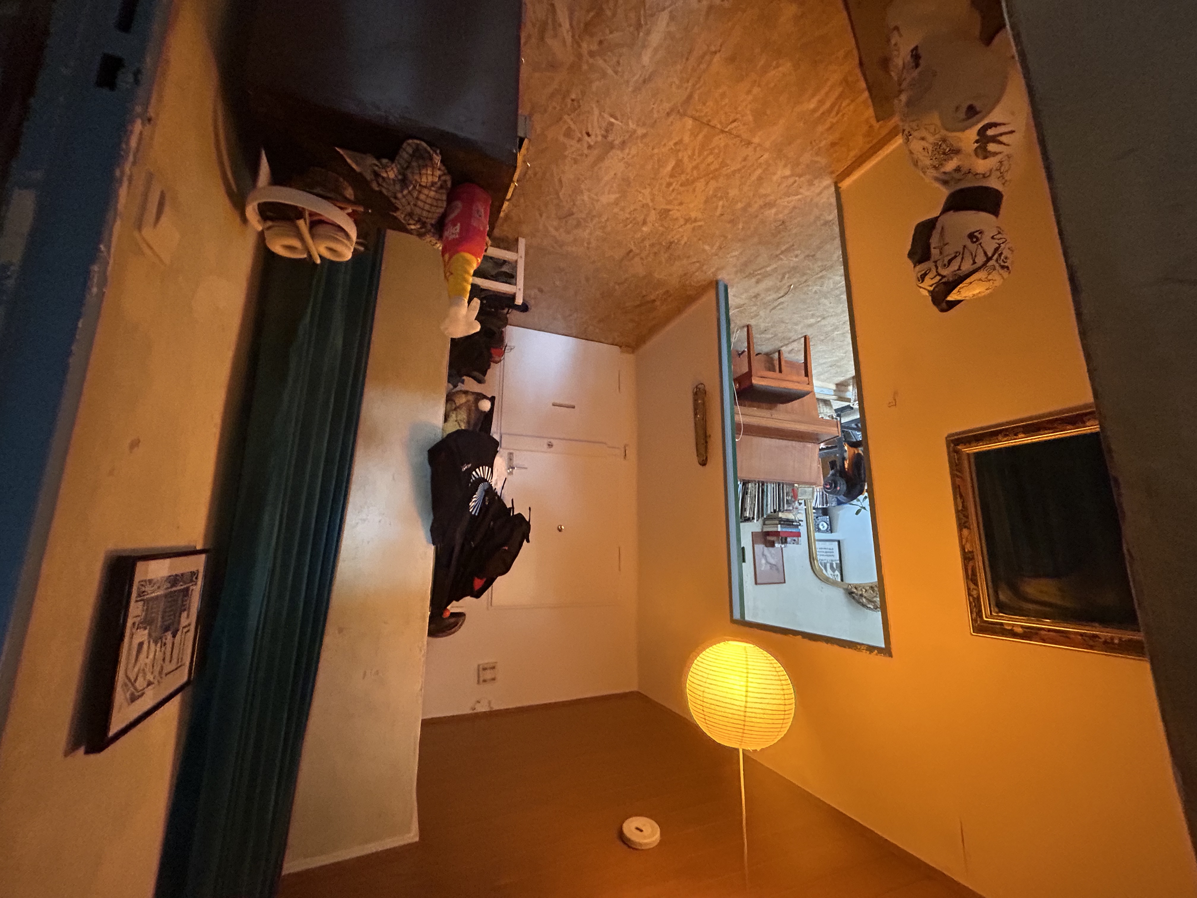 image-7