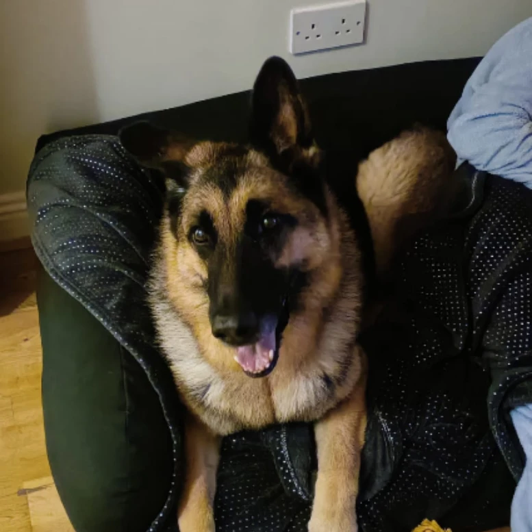 Max 