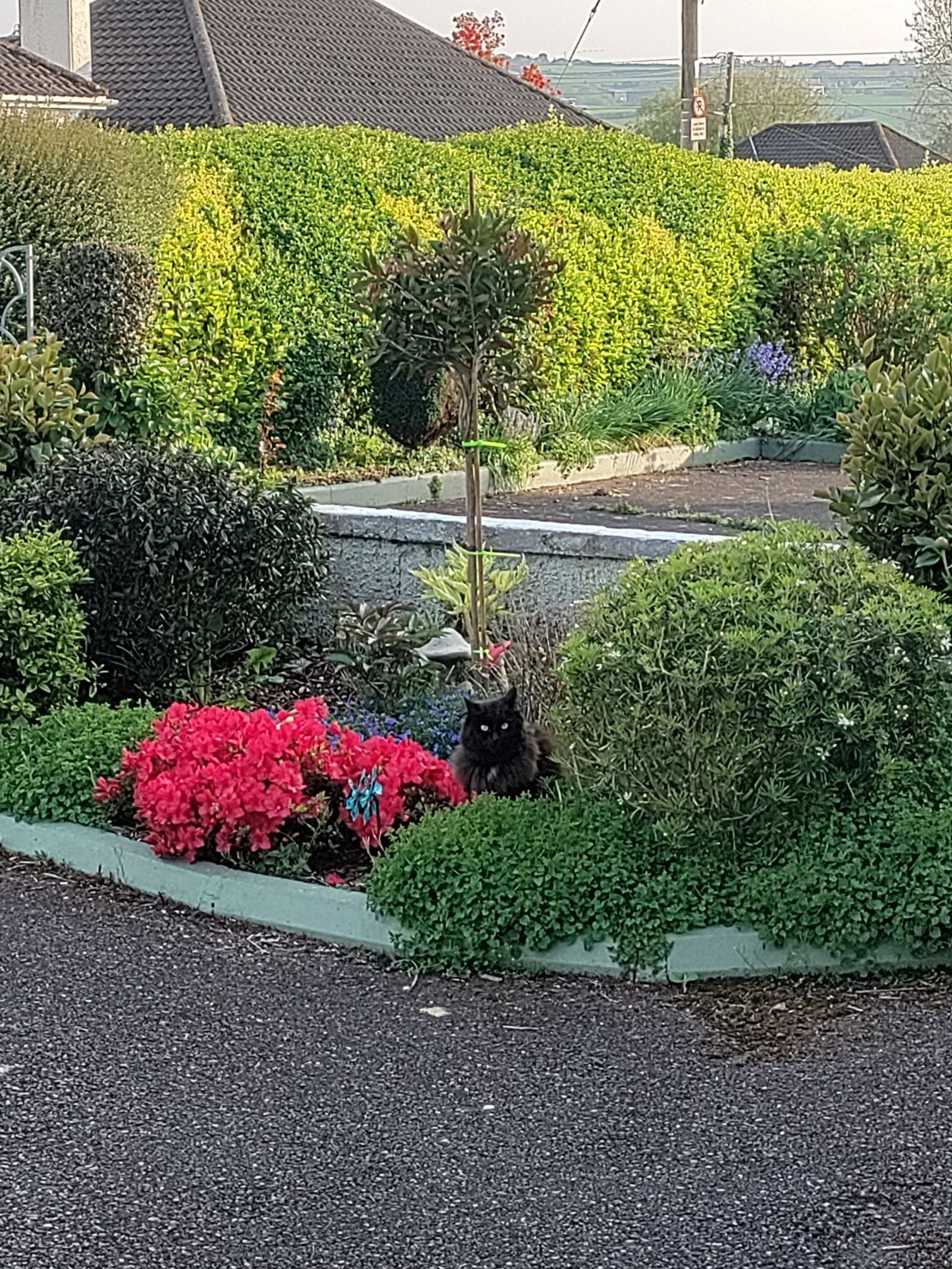 image-16