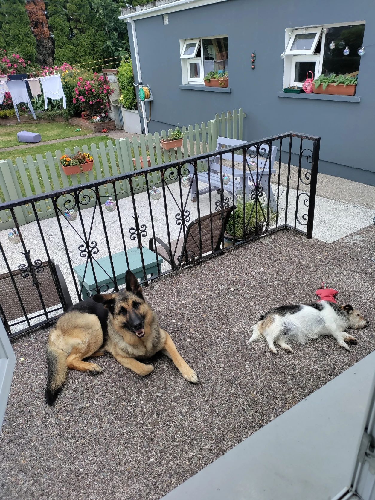 image-17