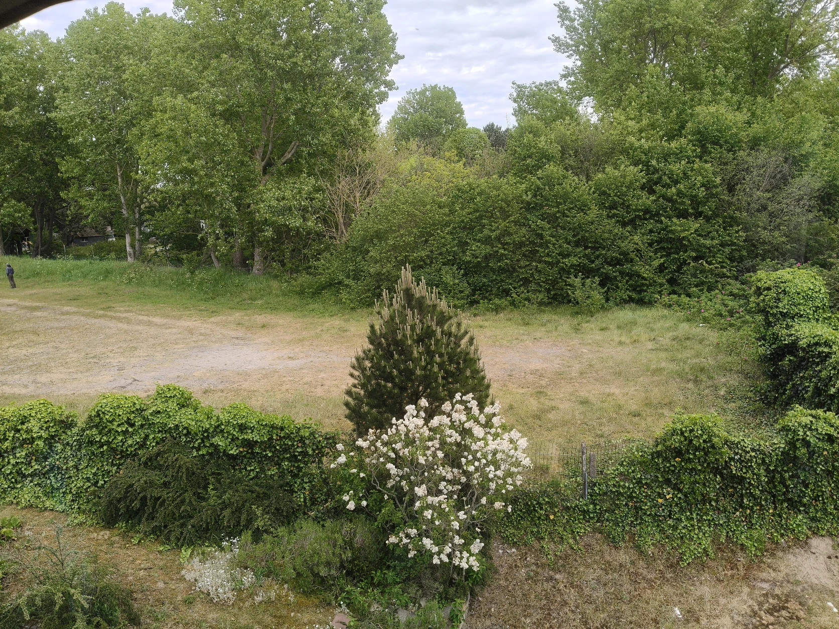image-19