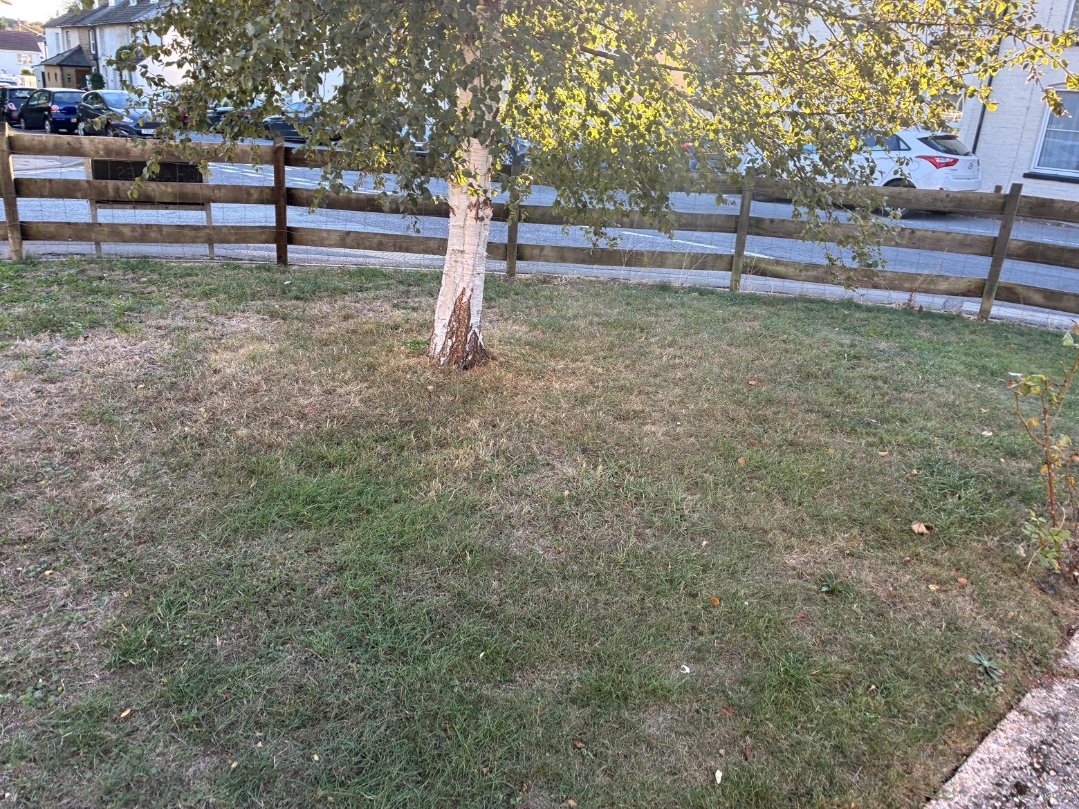 image-19