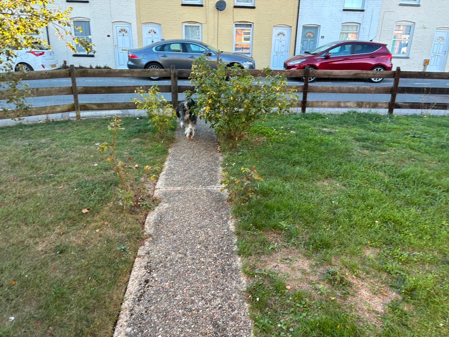 image-15
