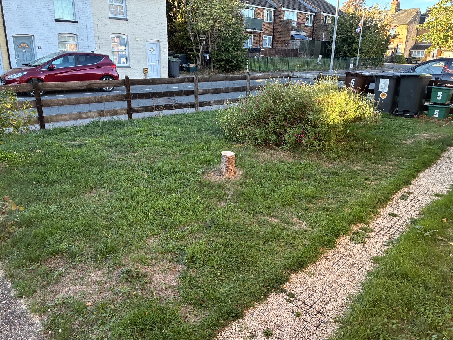 image-18