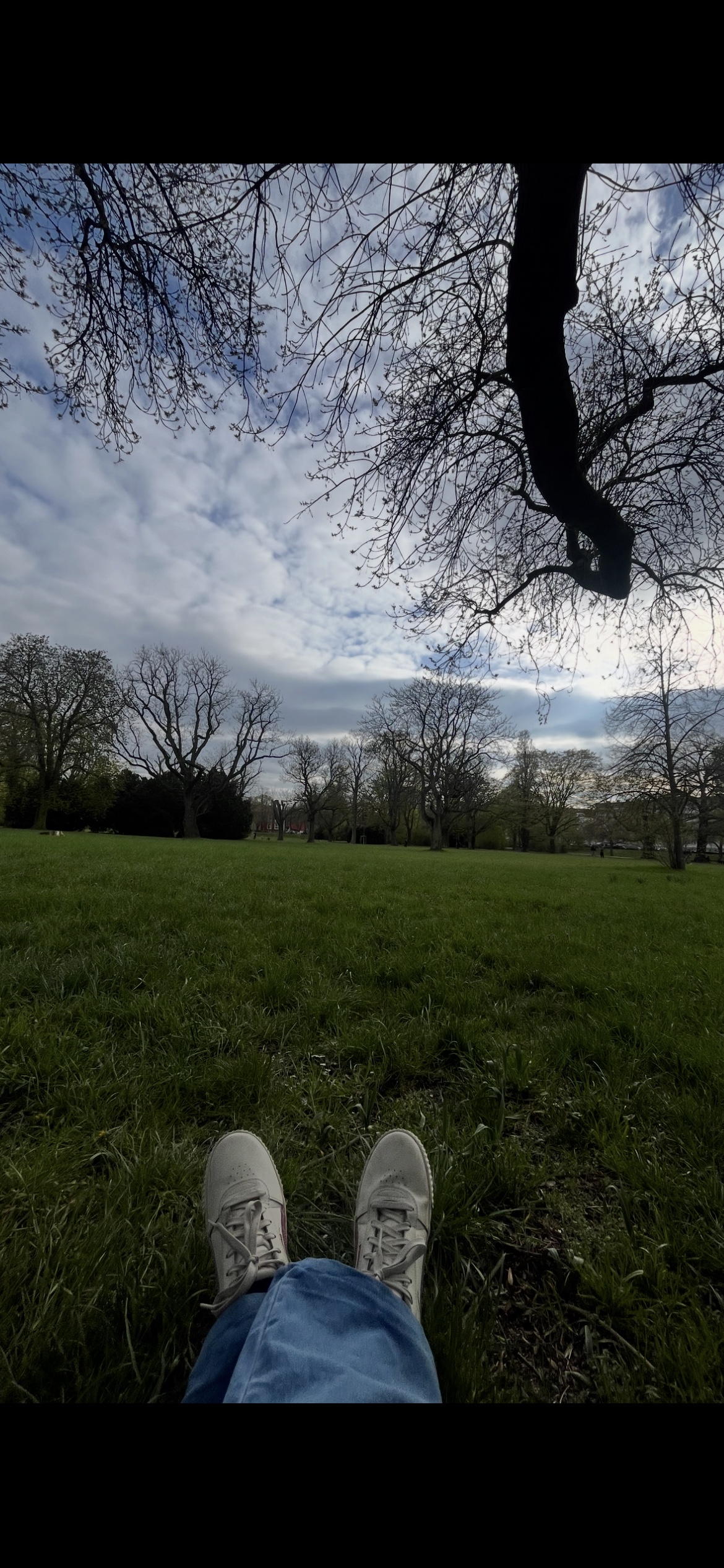 image-18