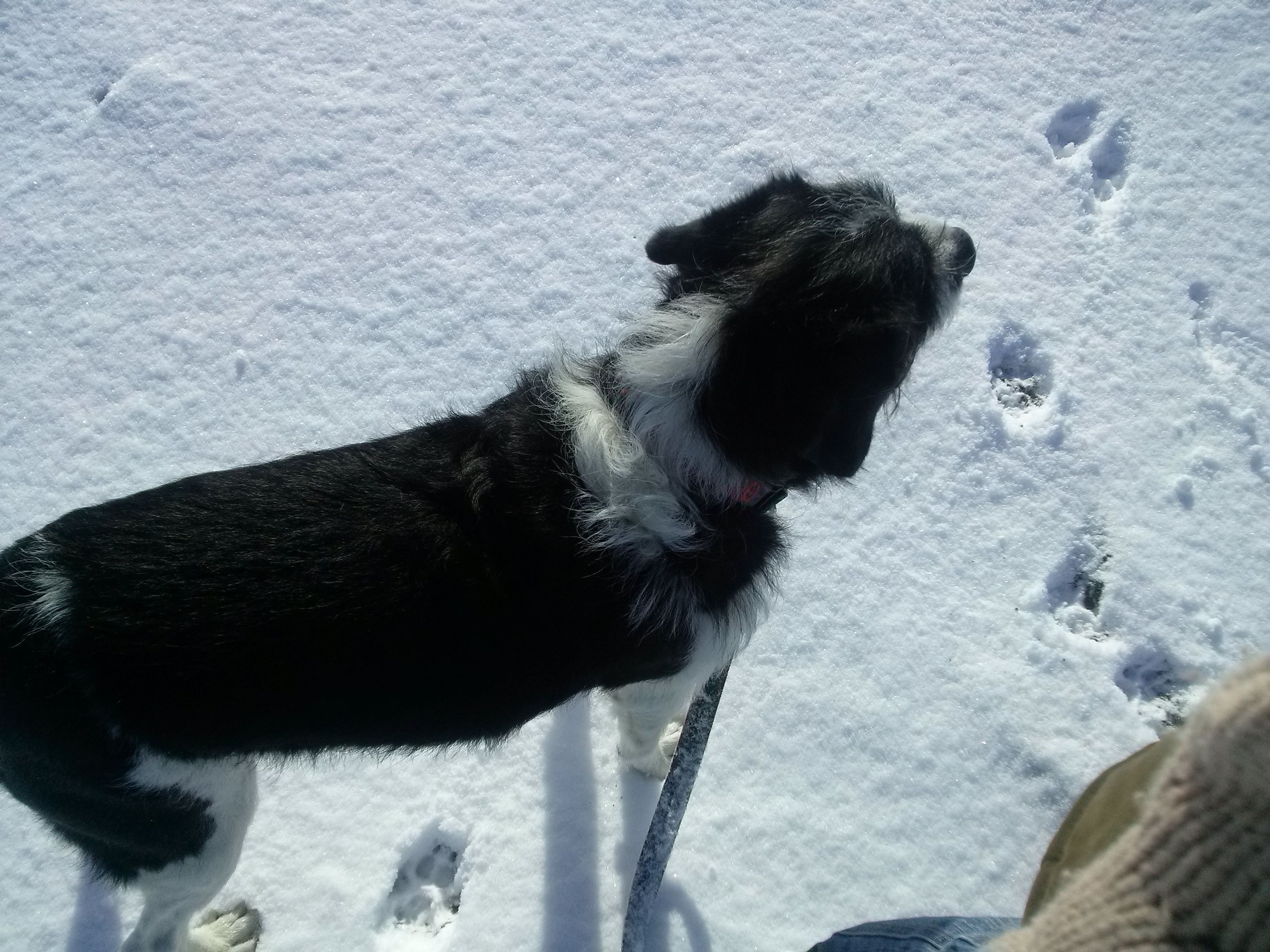 image-9