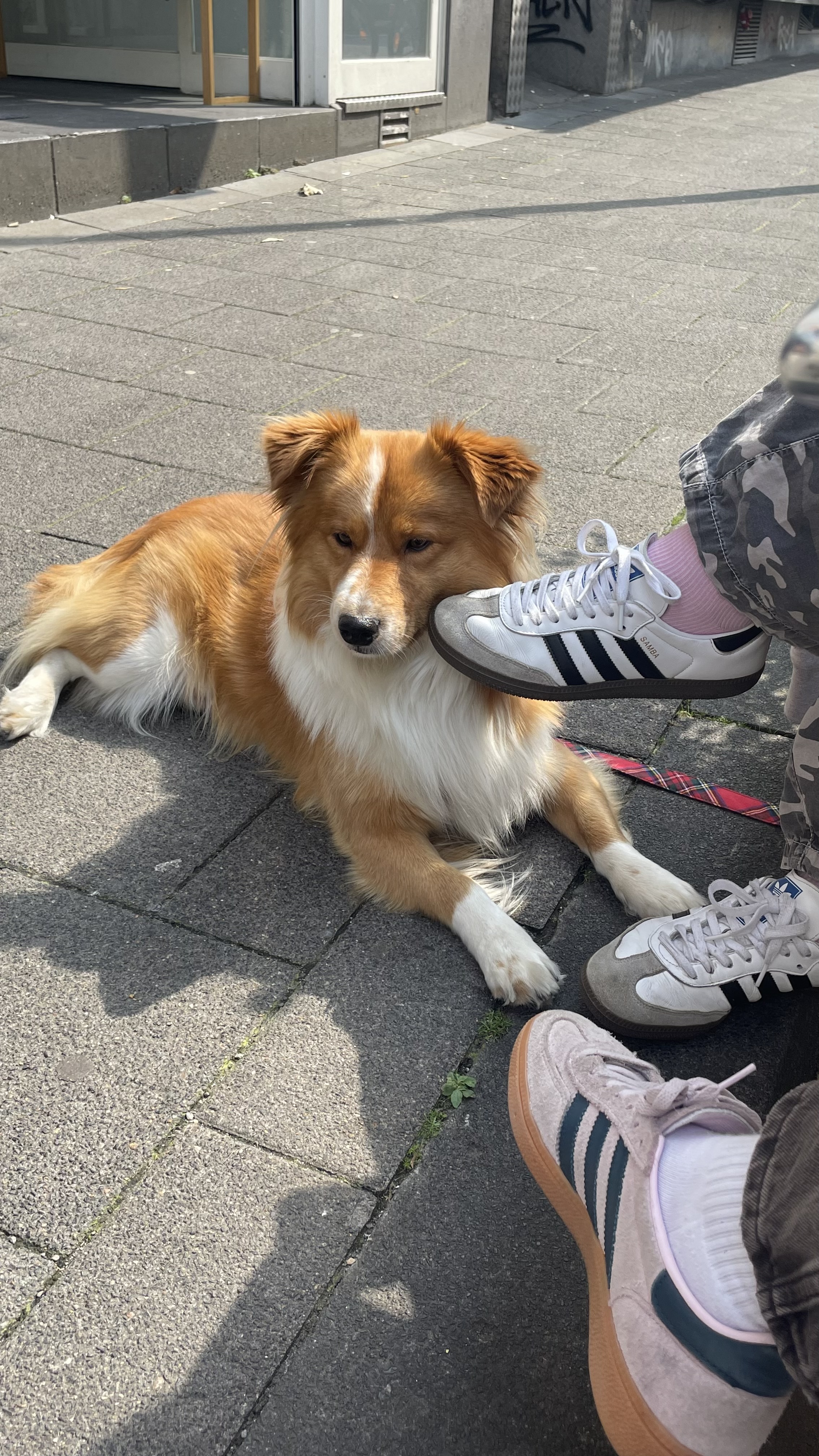 image-11