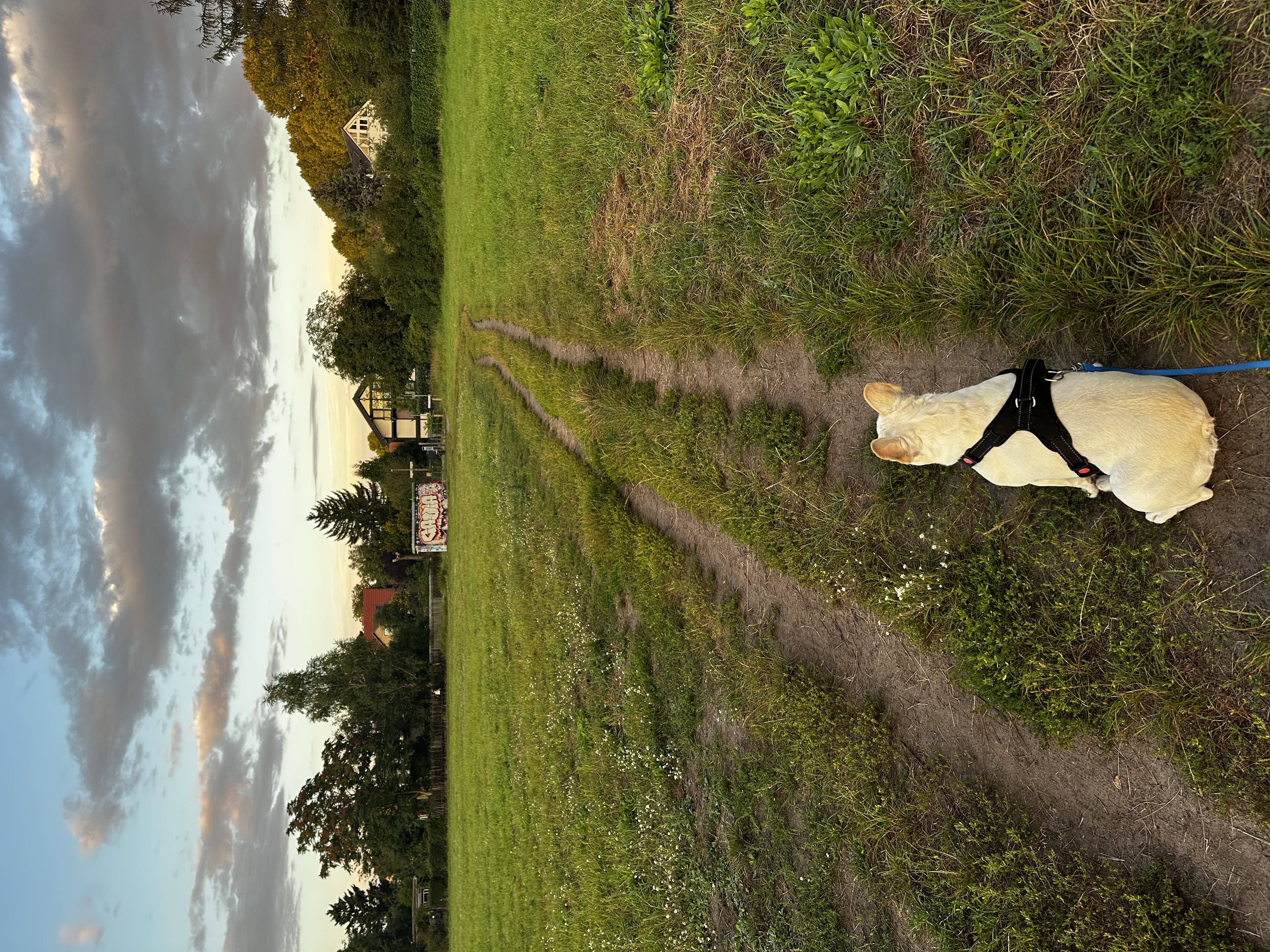 image-14