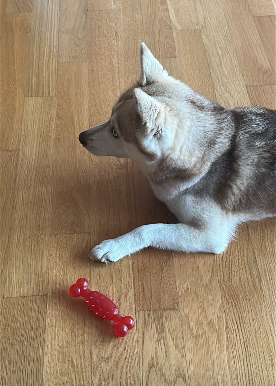 image-6