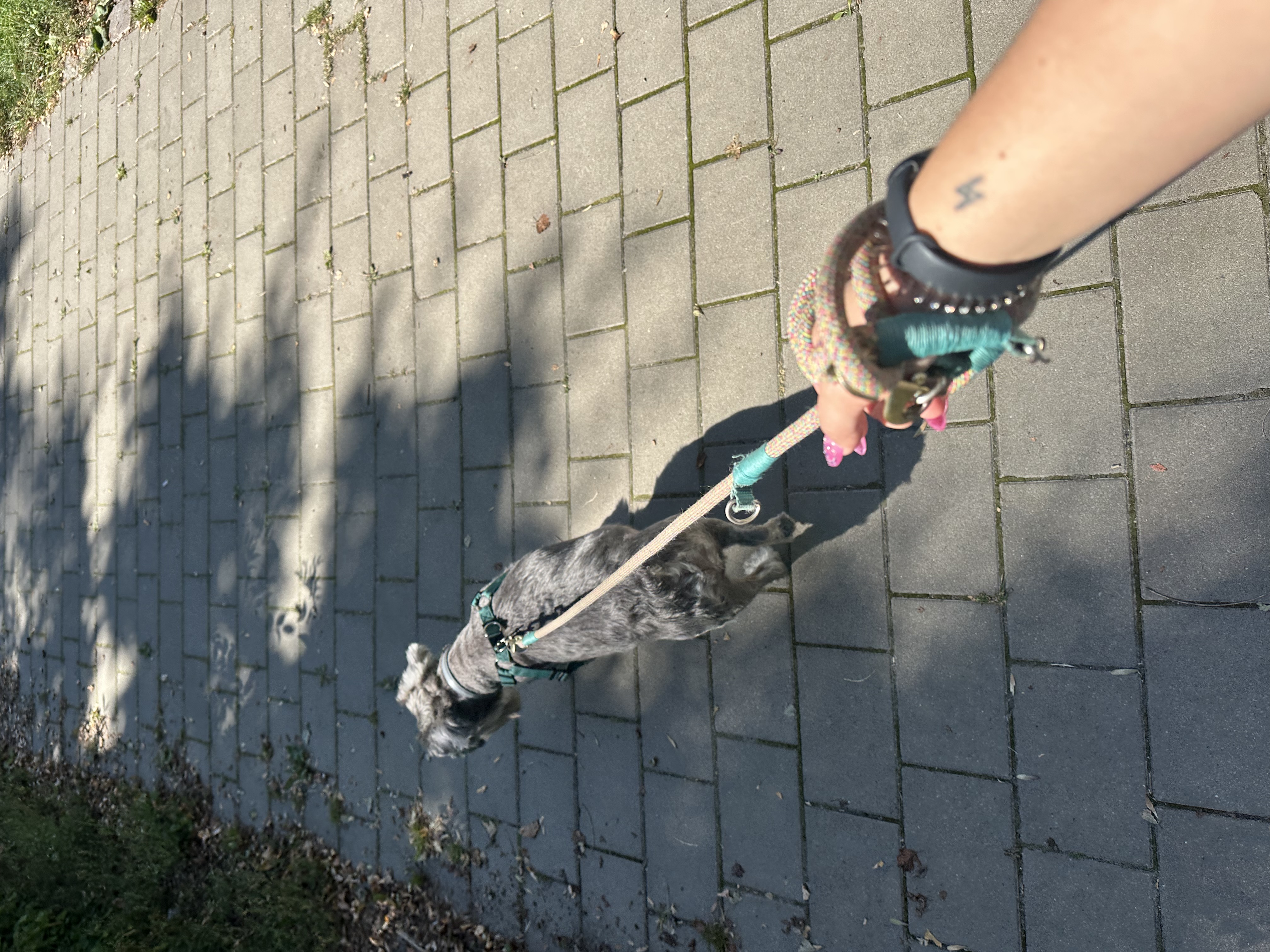 image-12