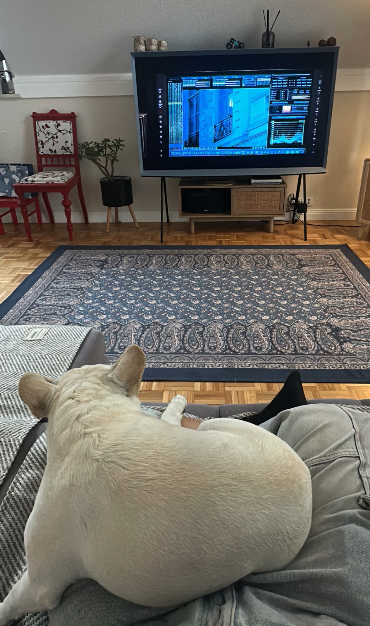 image-8