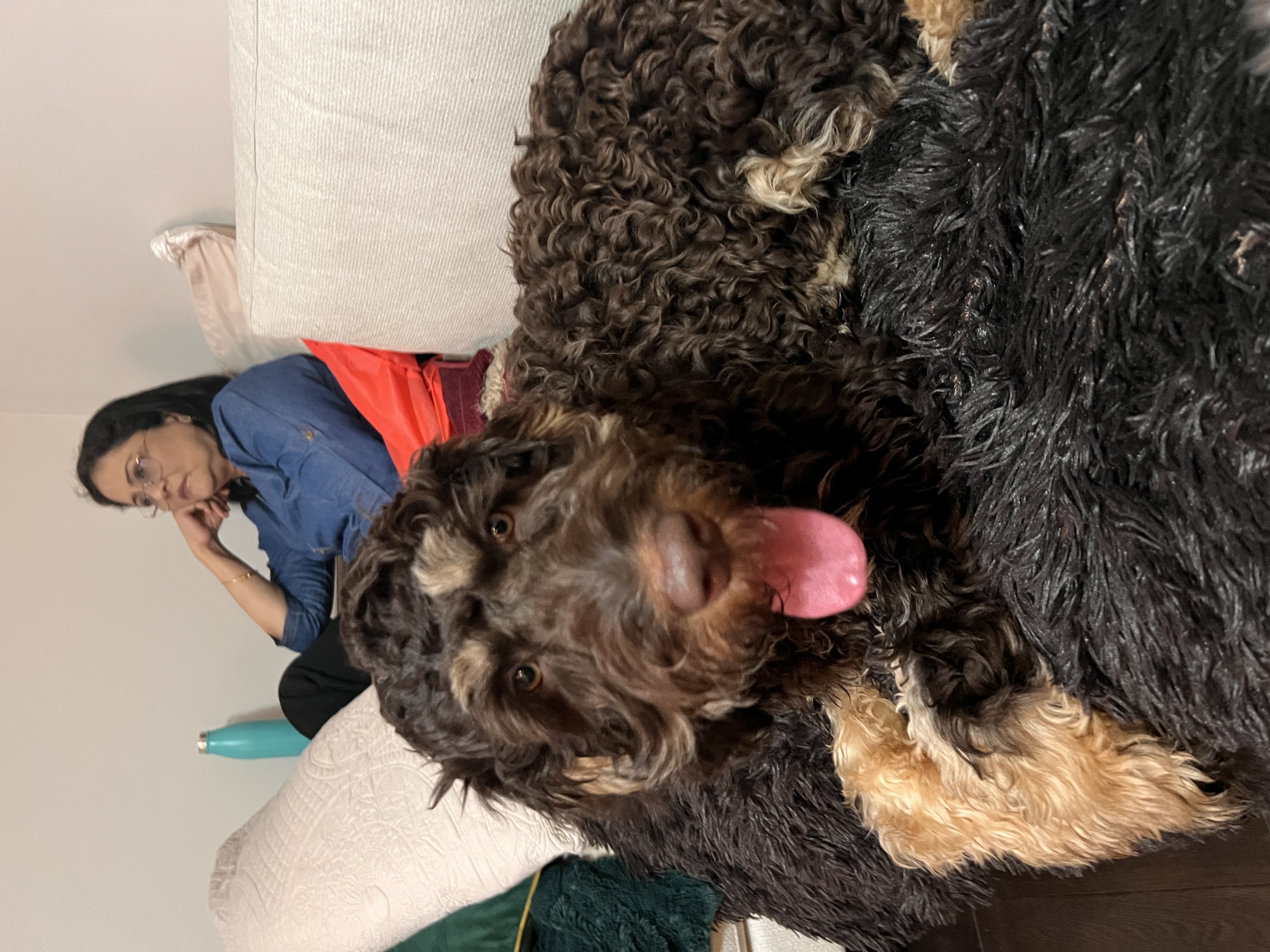 image-12