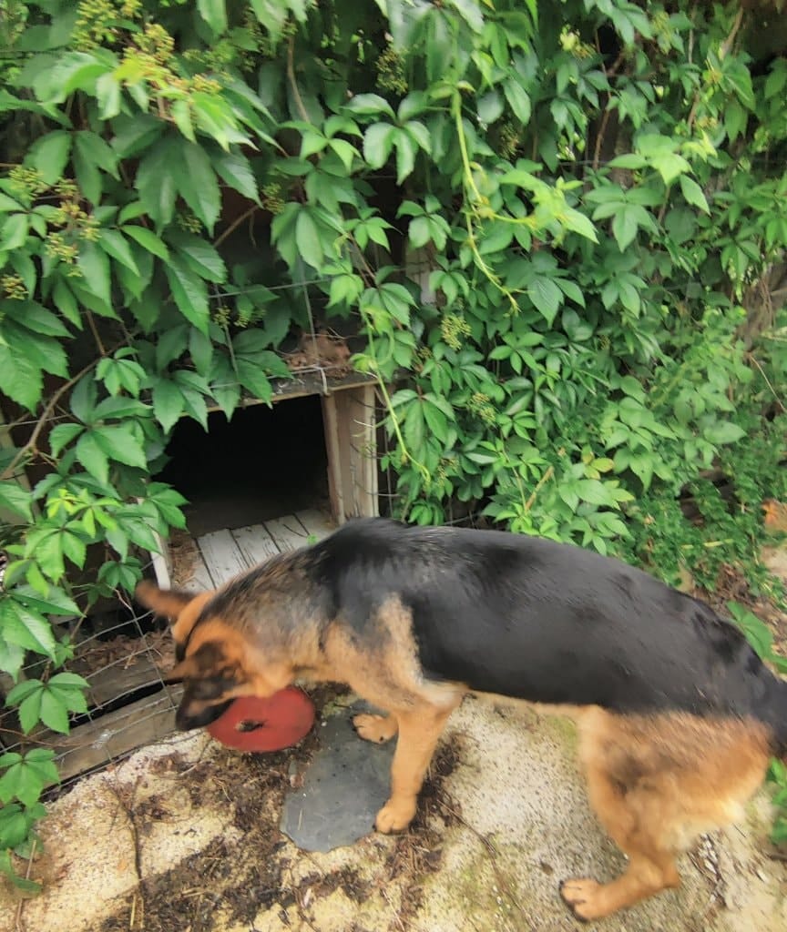 image-9