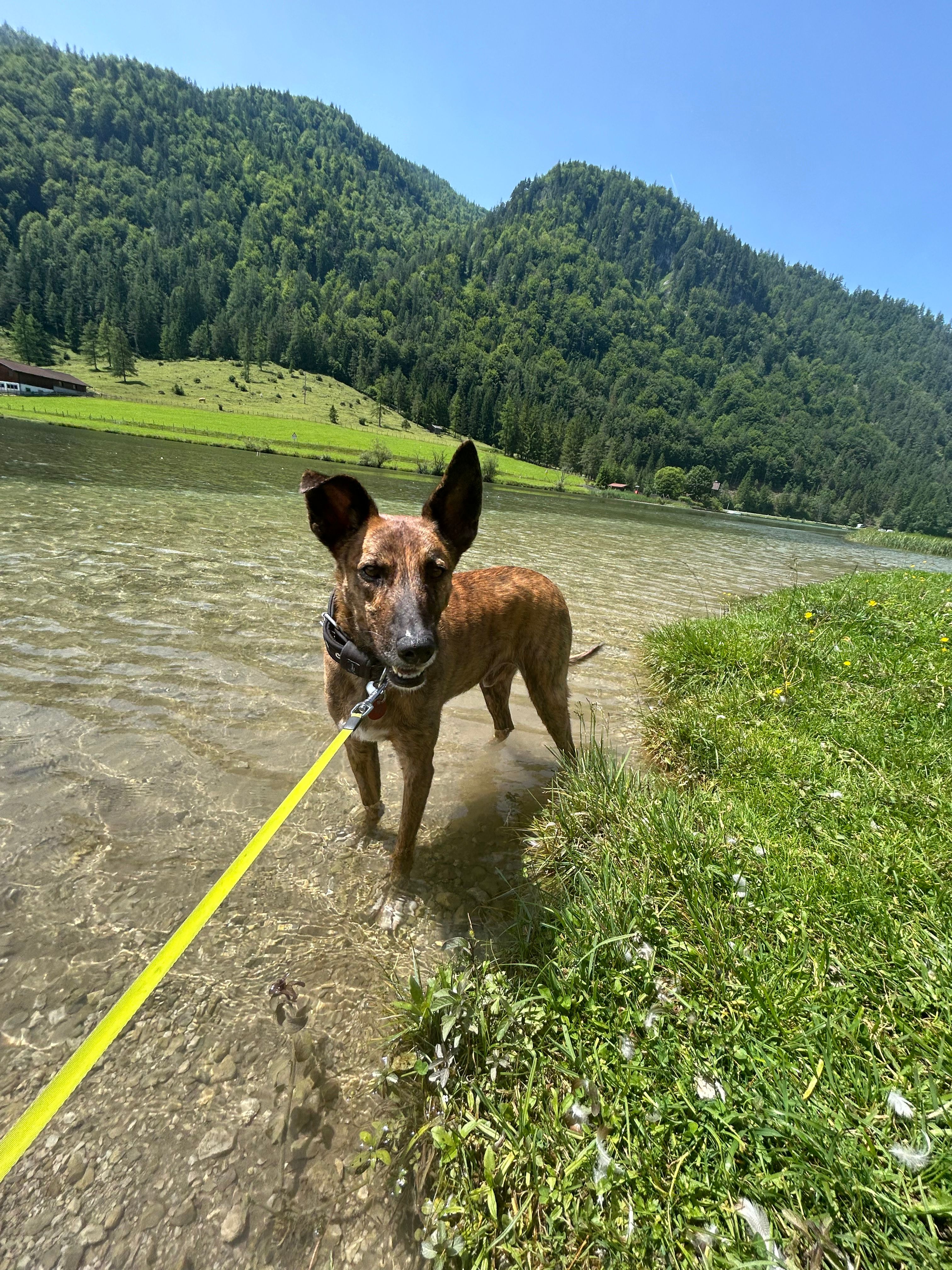 image-7