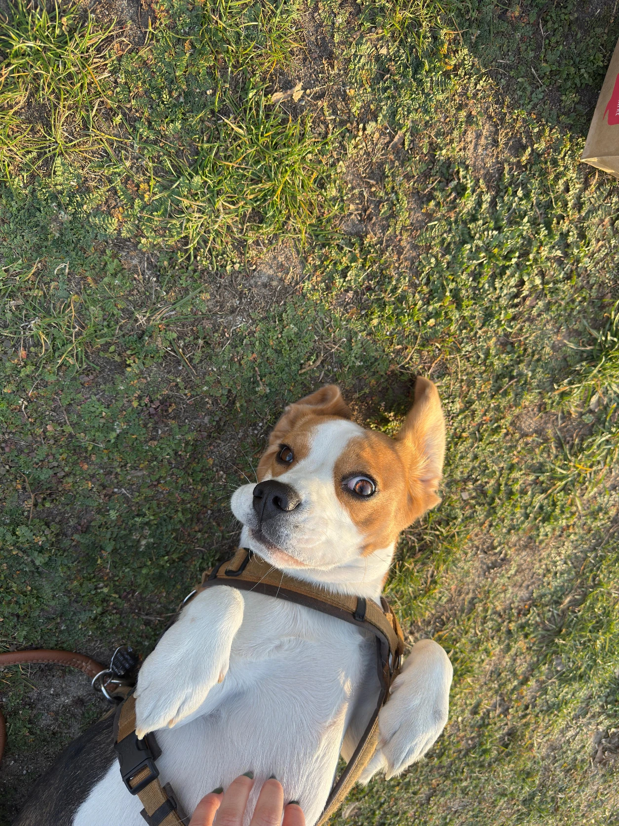 image-6