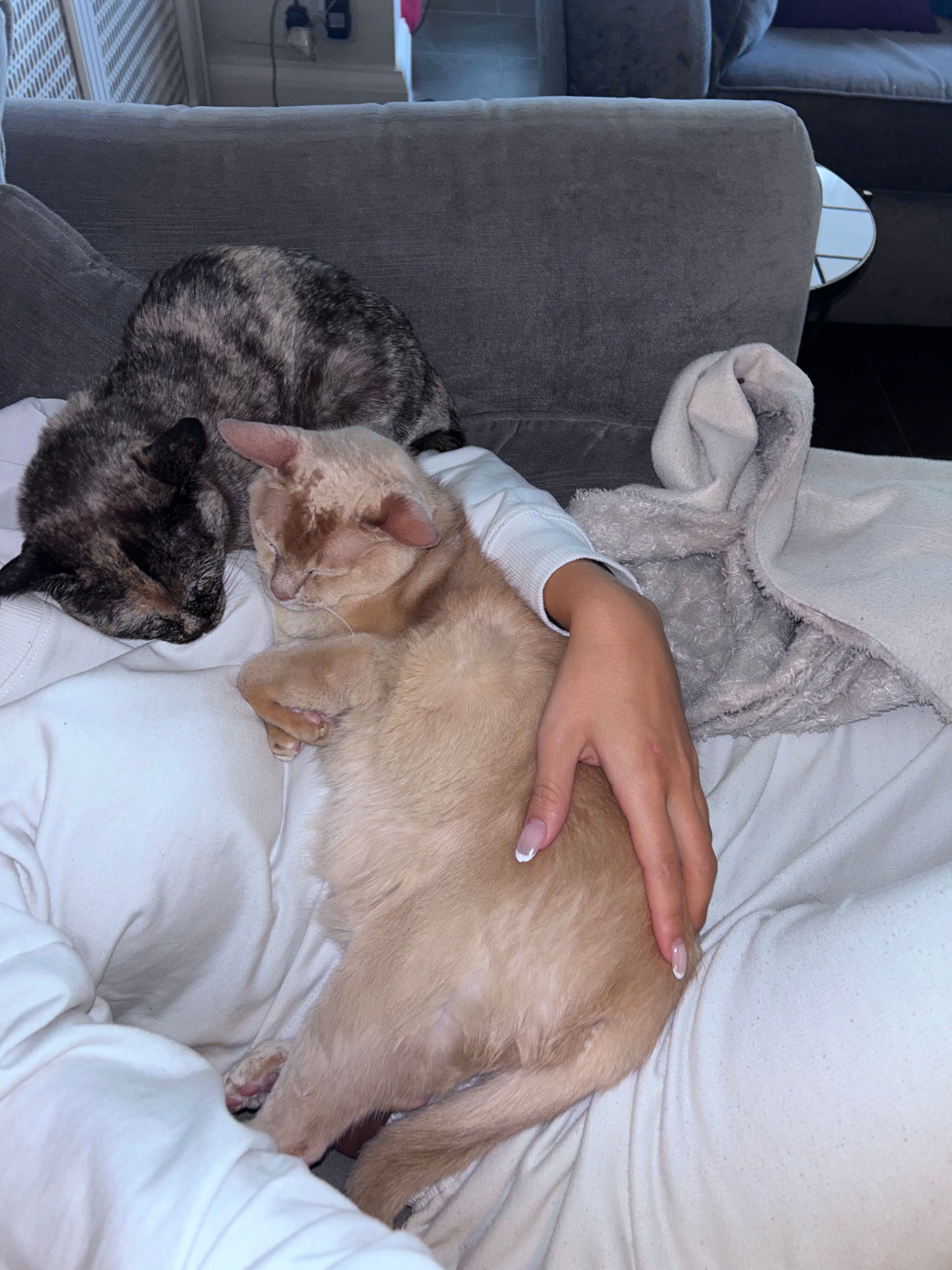 image-5