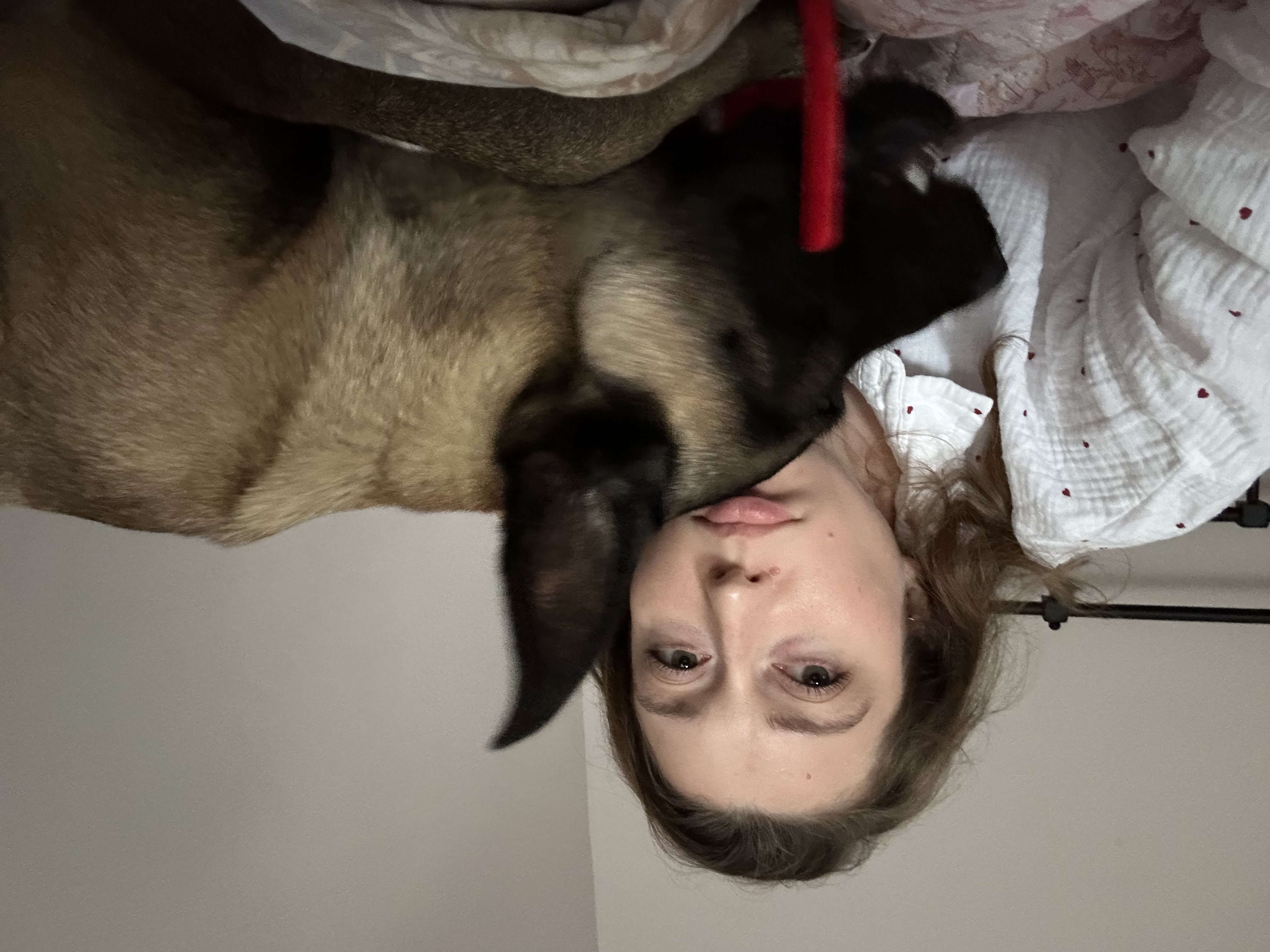 image-11