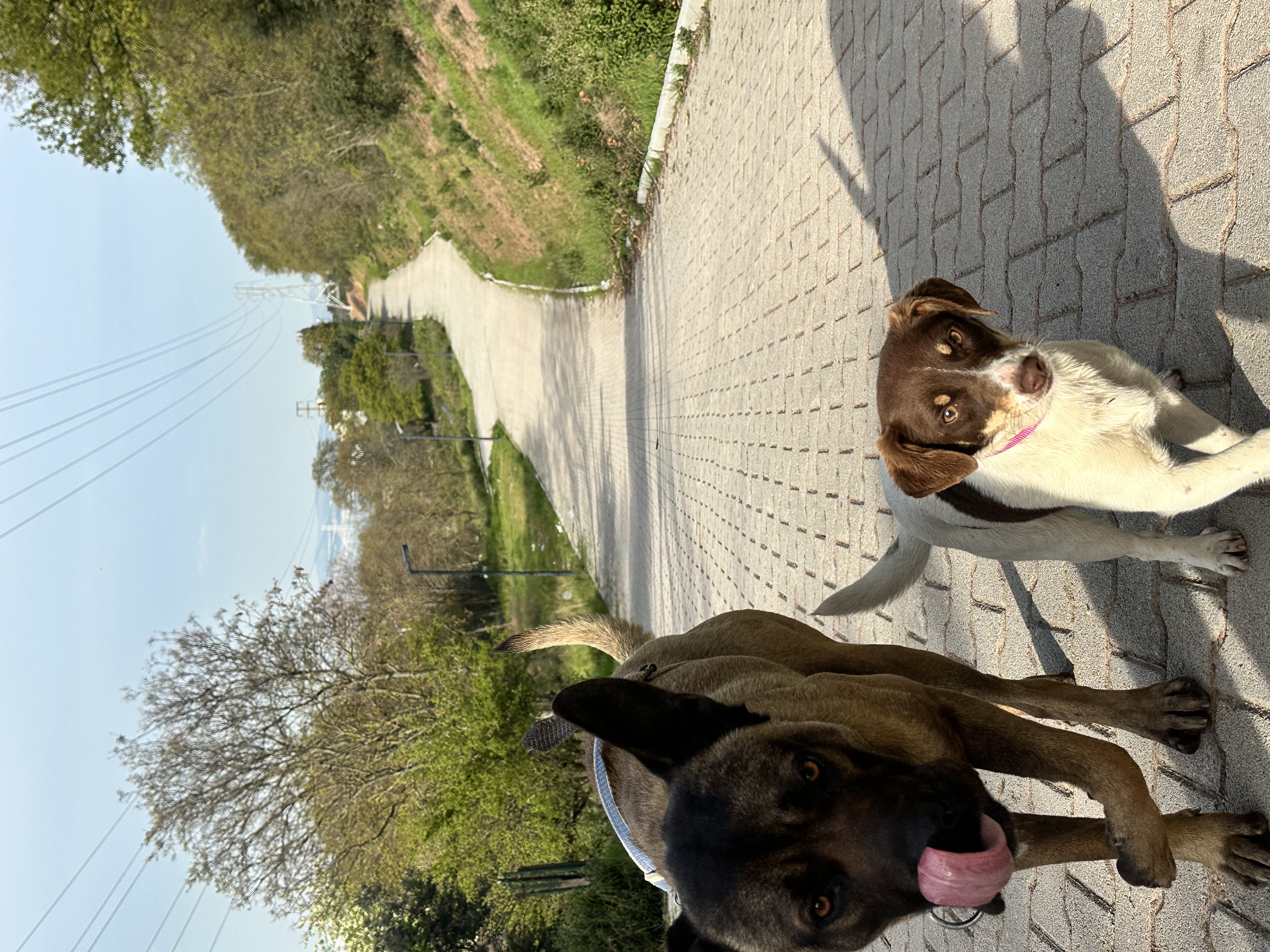image-10