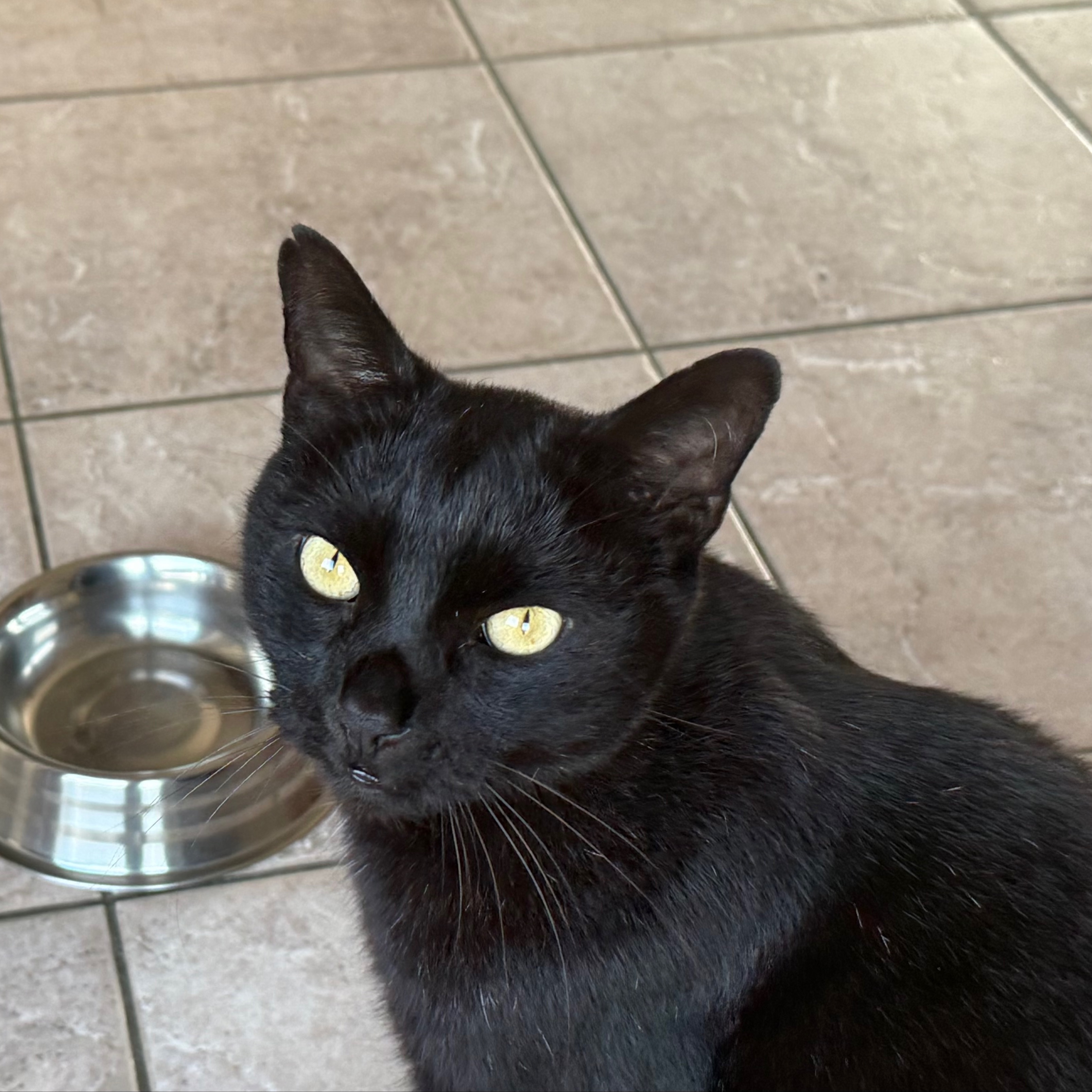 MICIO