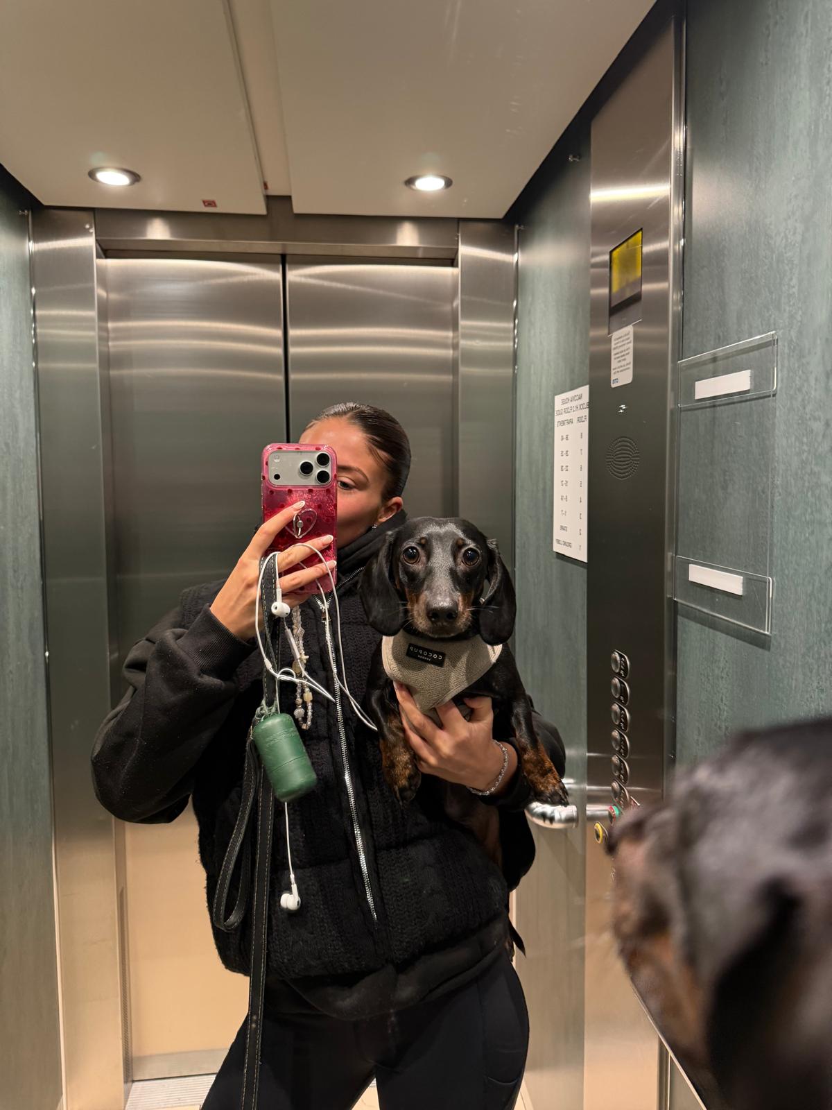image-9