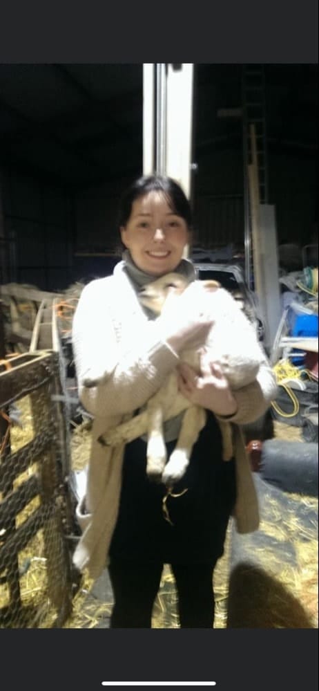 image-5