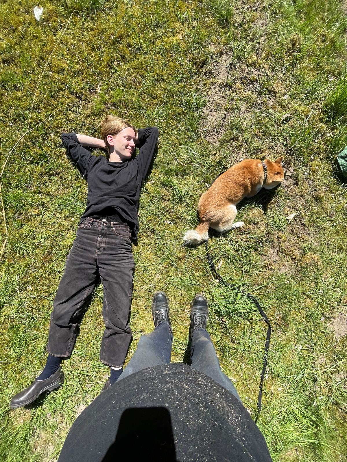 image-4