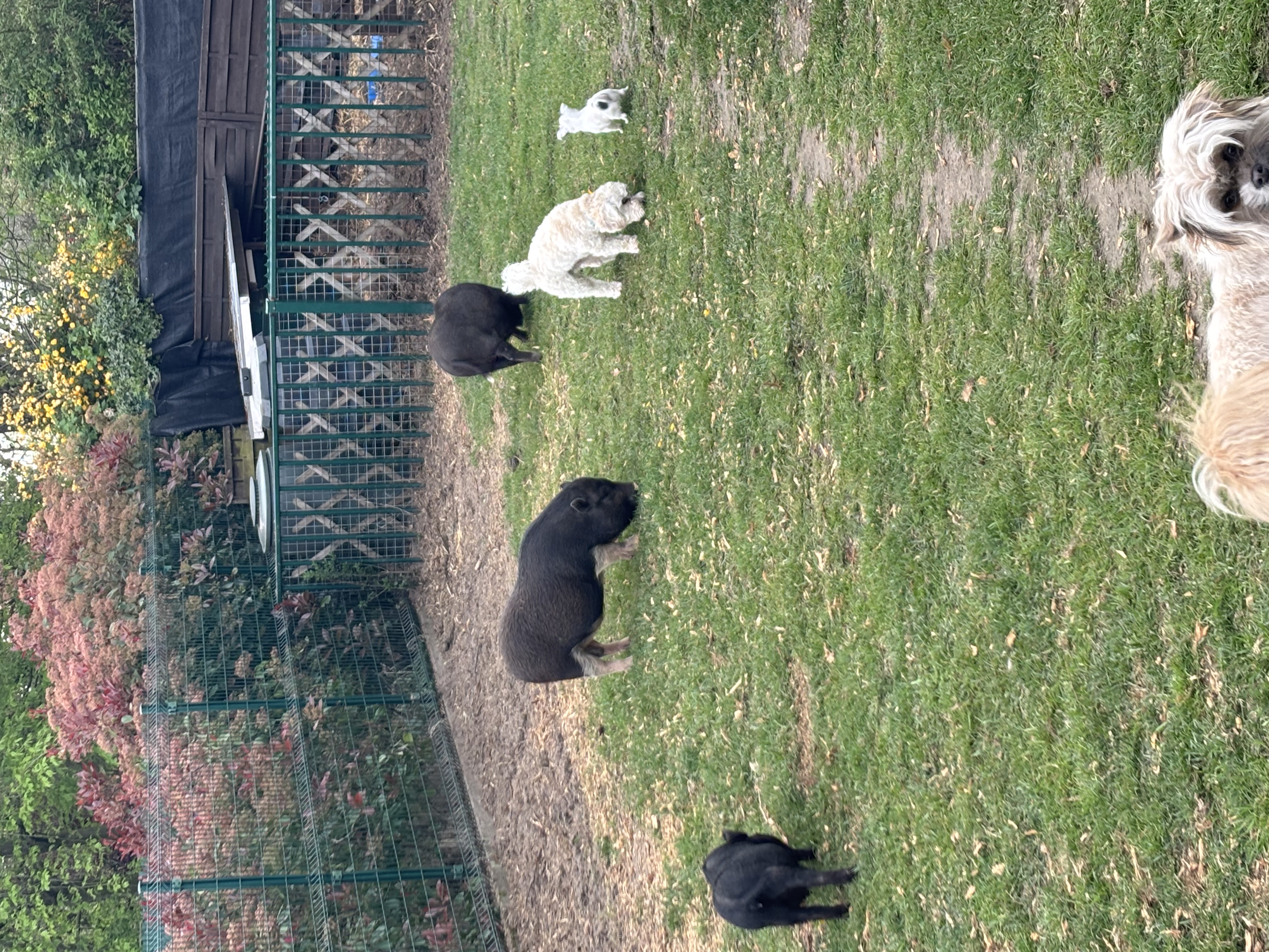 image-40