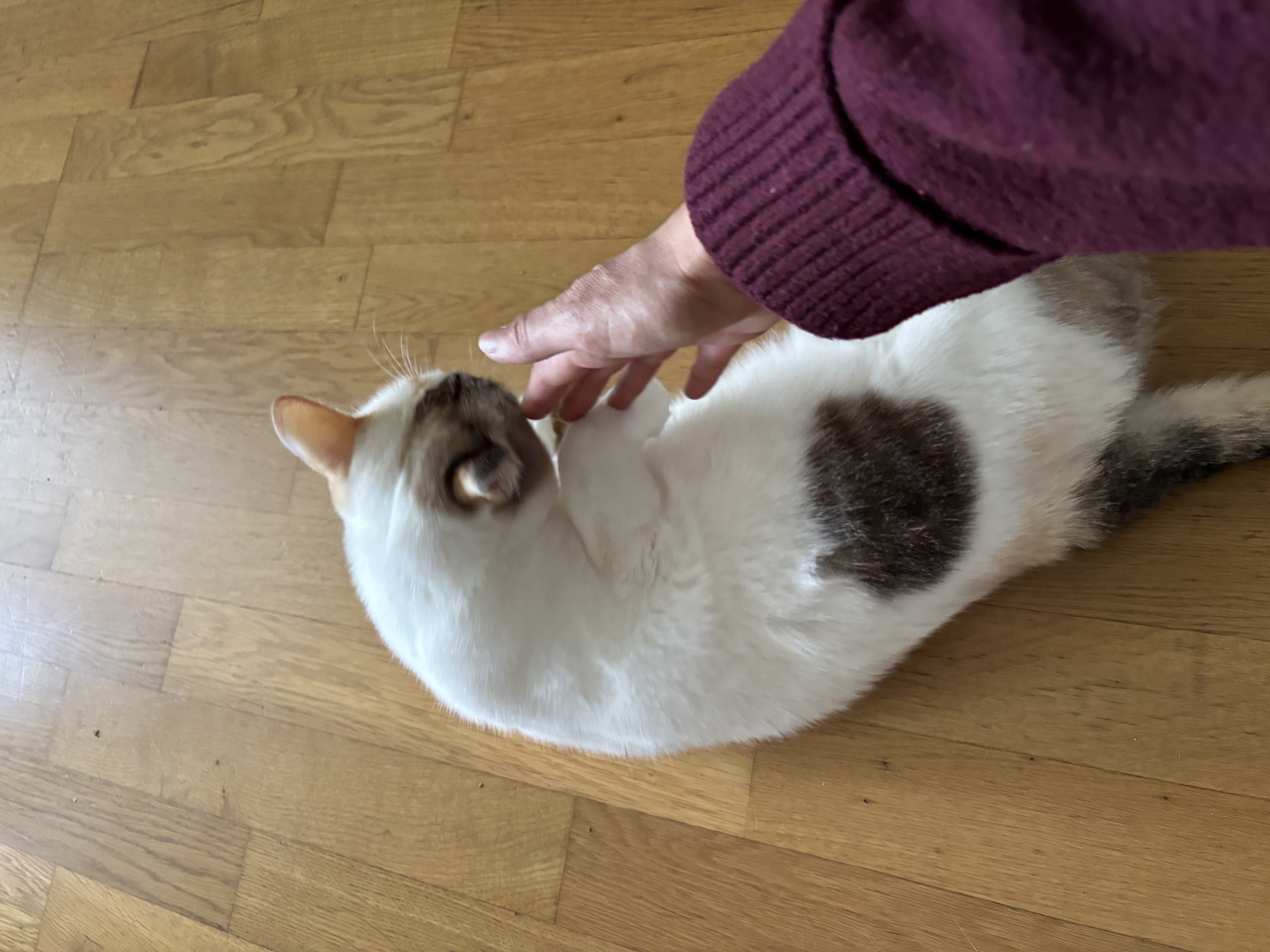 image-6
