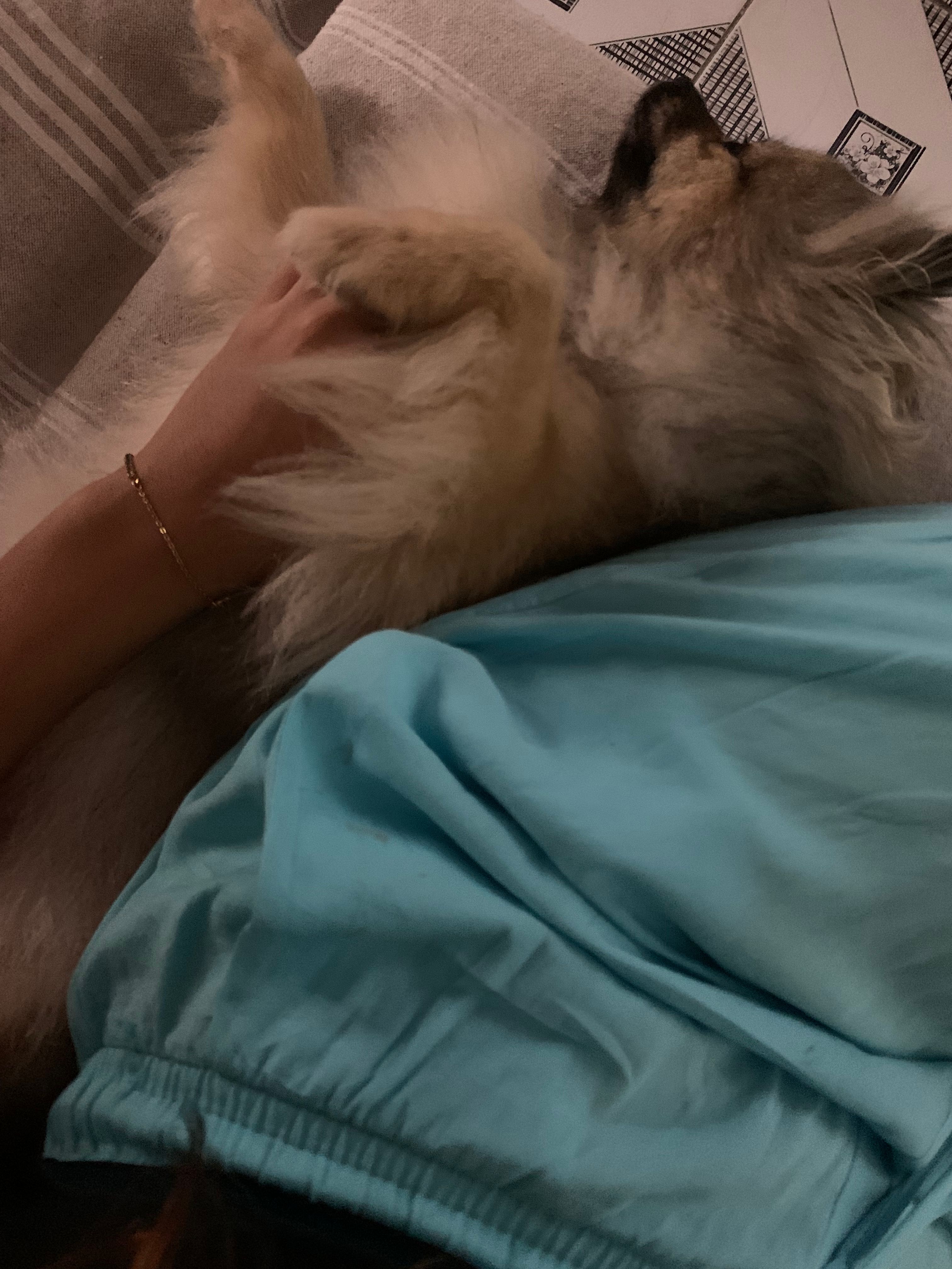 image-9