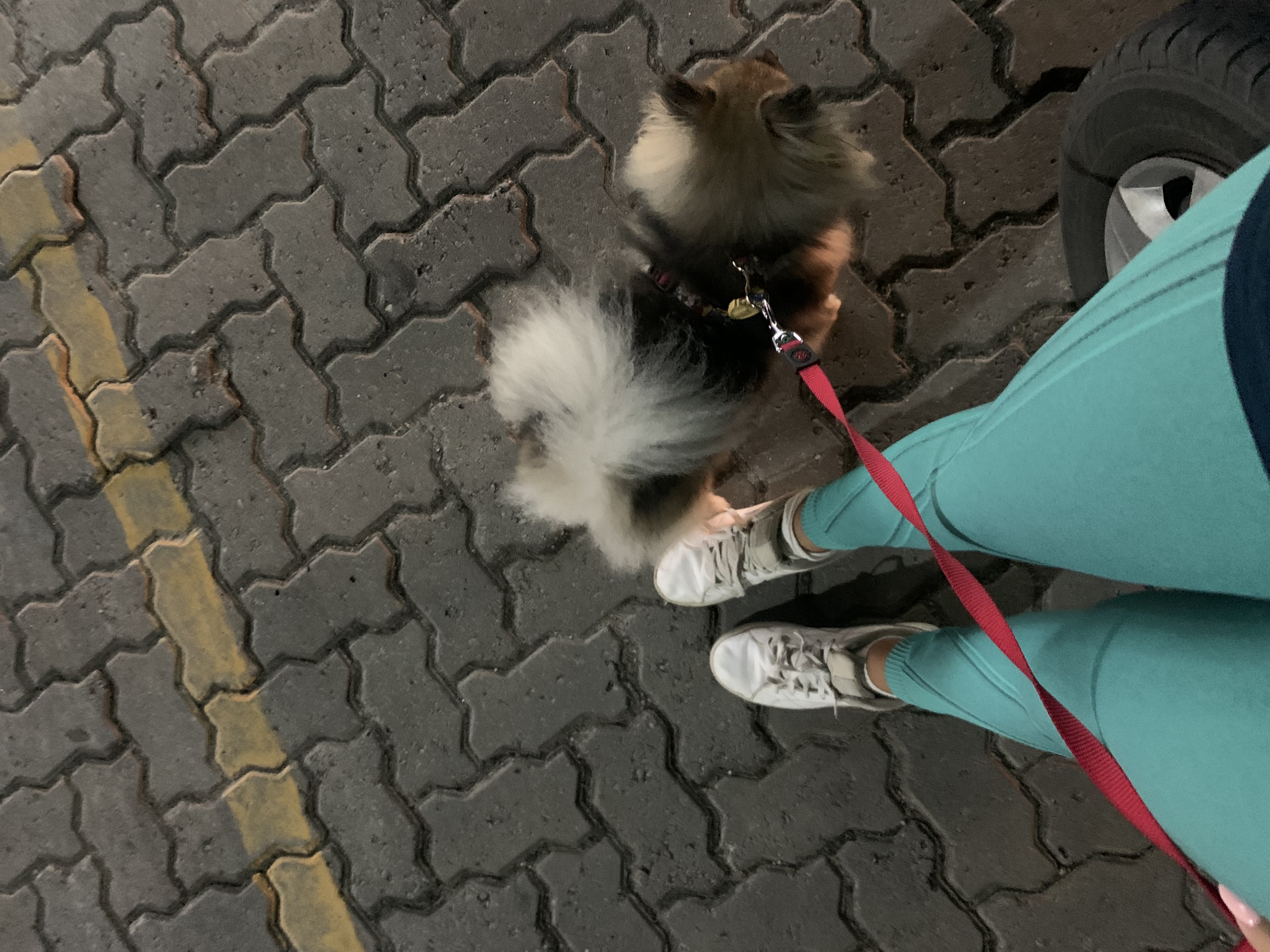 image-10