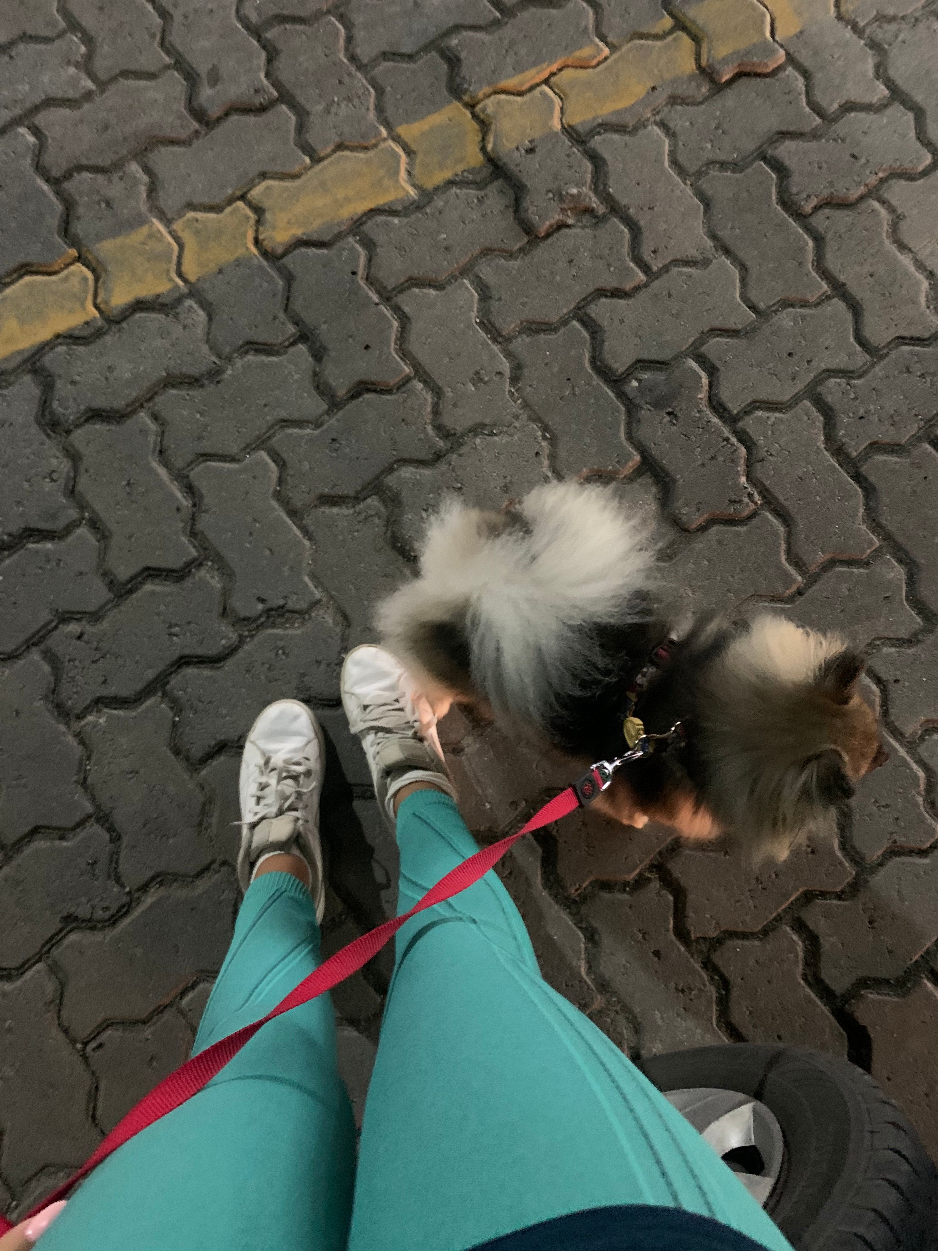 image-10