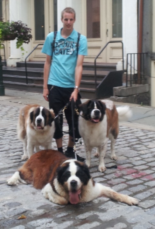 image-5