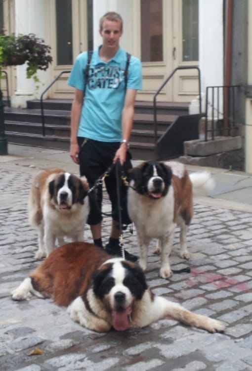 image-5