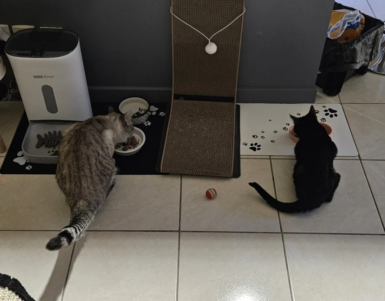 image-16